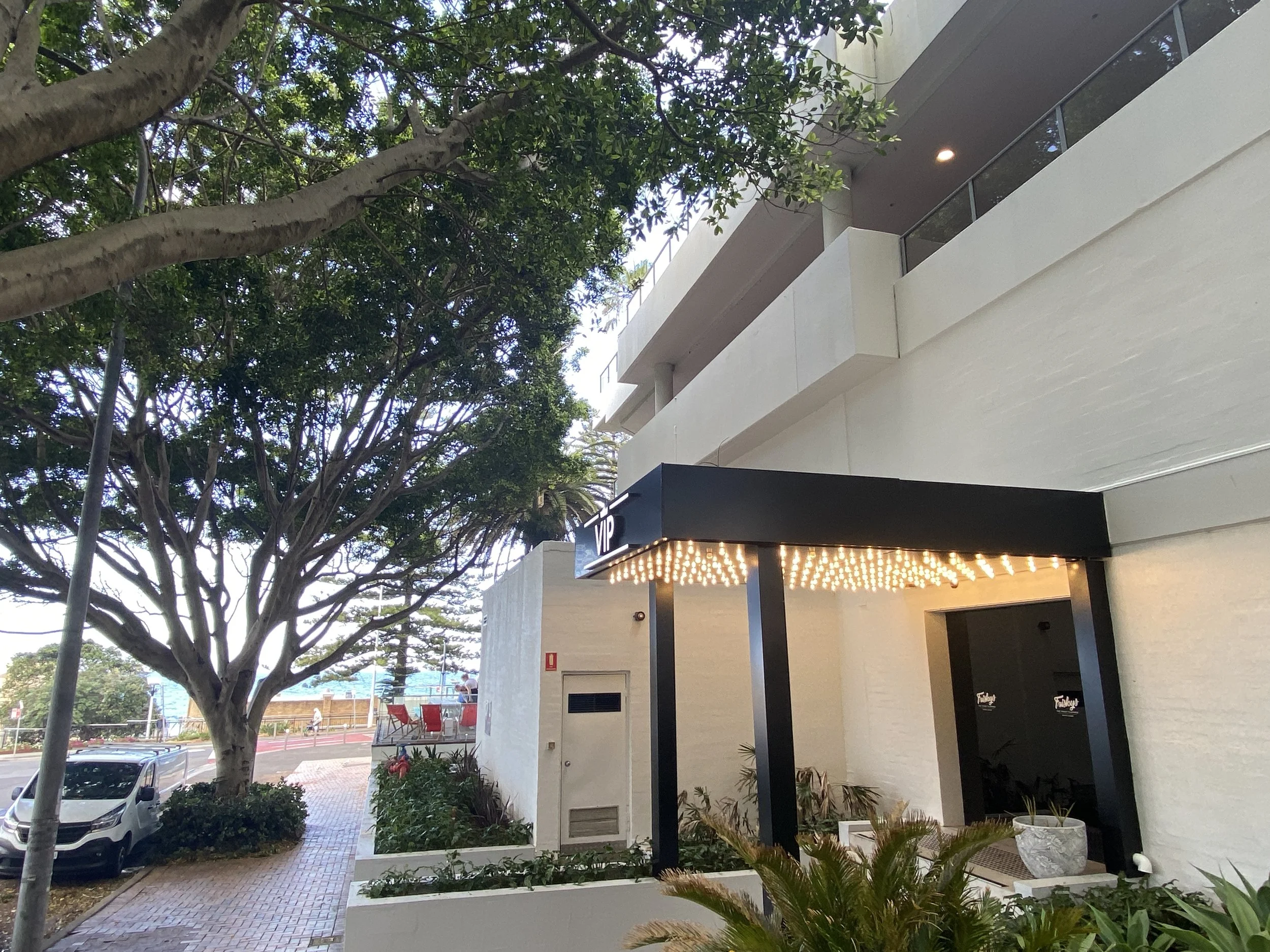 Exterior of a modern building with a black entrance canopy decorated with string lights, potted plants, and a VIP sign, near a large tree and parked cars.