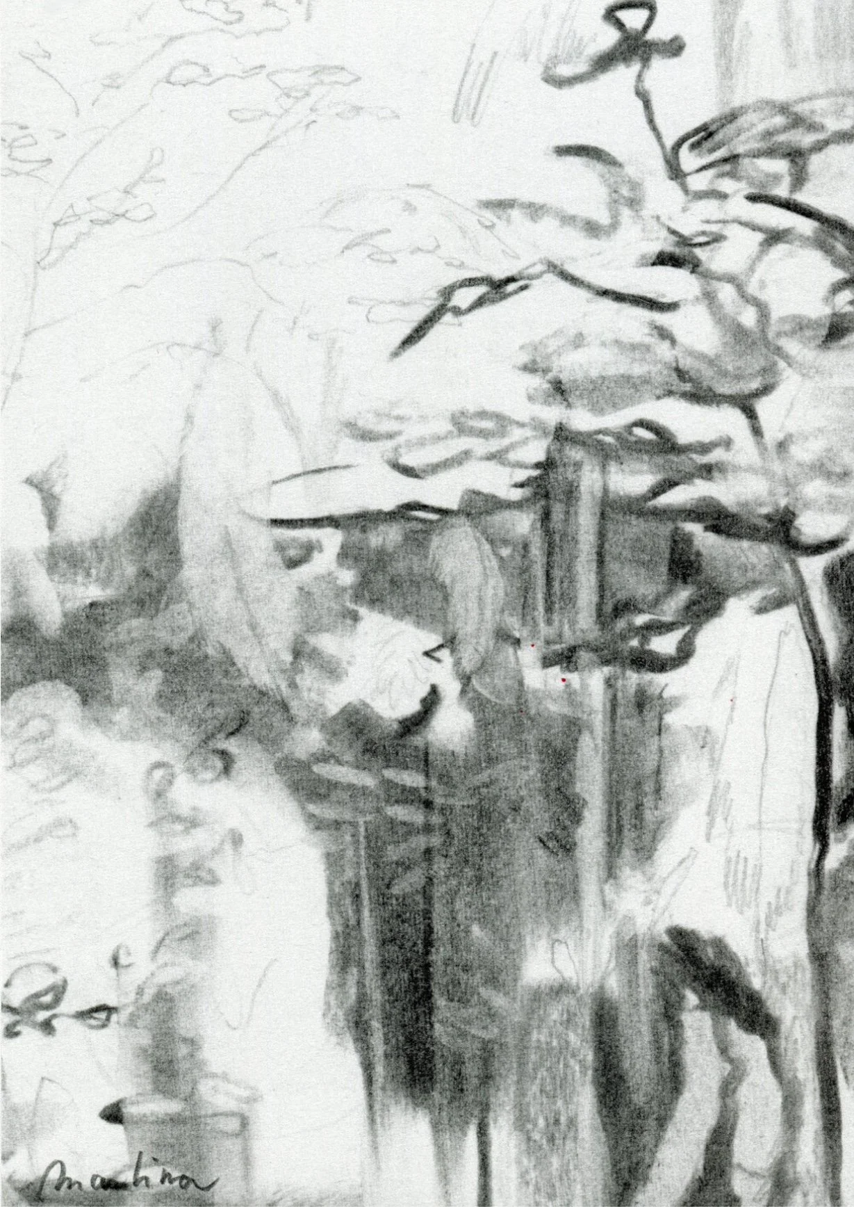 Print - Forest - A5 (148 x 210)