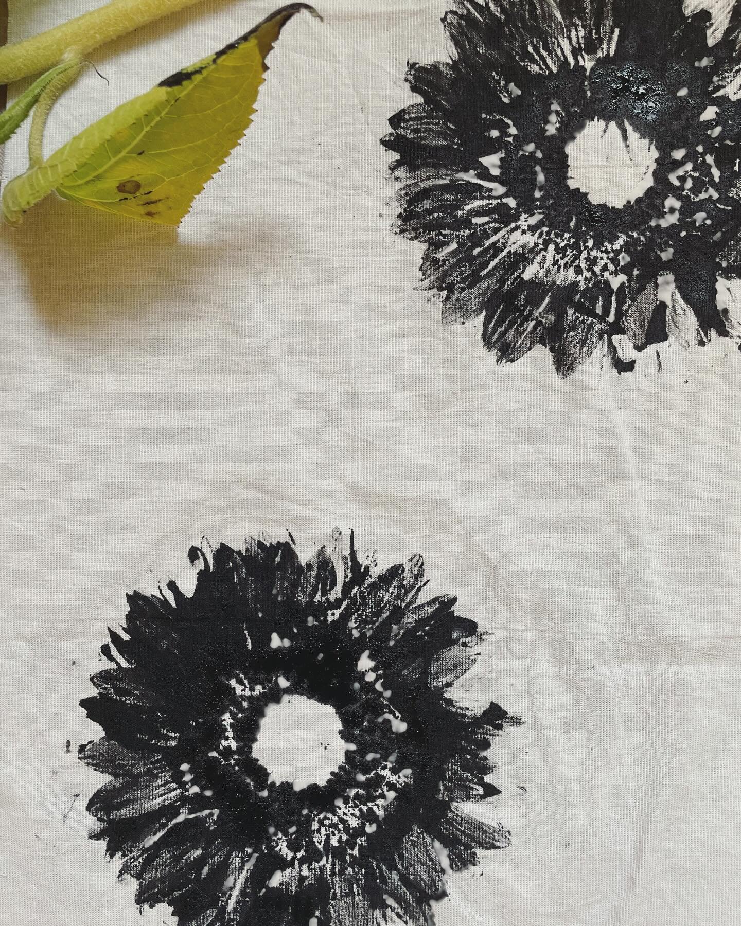 Endlich bin ich dazu gekommen, mein Siebdruckstudio in Betrieb zu nehmen. Allerdings noch ohne Sieb. 😅Stattdessen mit Sonnenblume. 🌻Geht auch. Es sind erst mal nur Testdrucke. Was daraus wird, kann ich hoffentlich in ein paar Wochen zeigen. 

#sieb