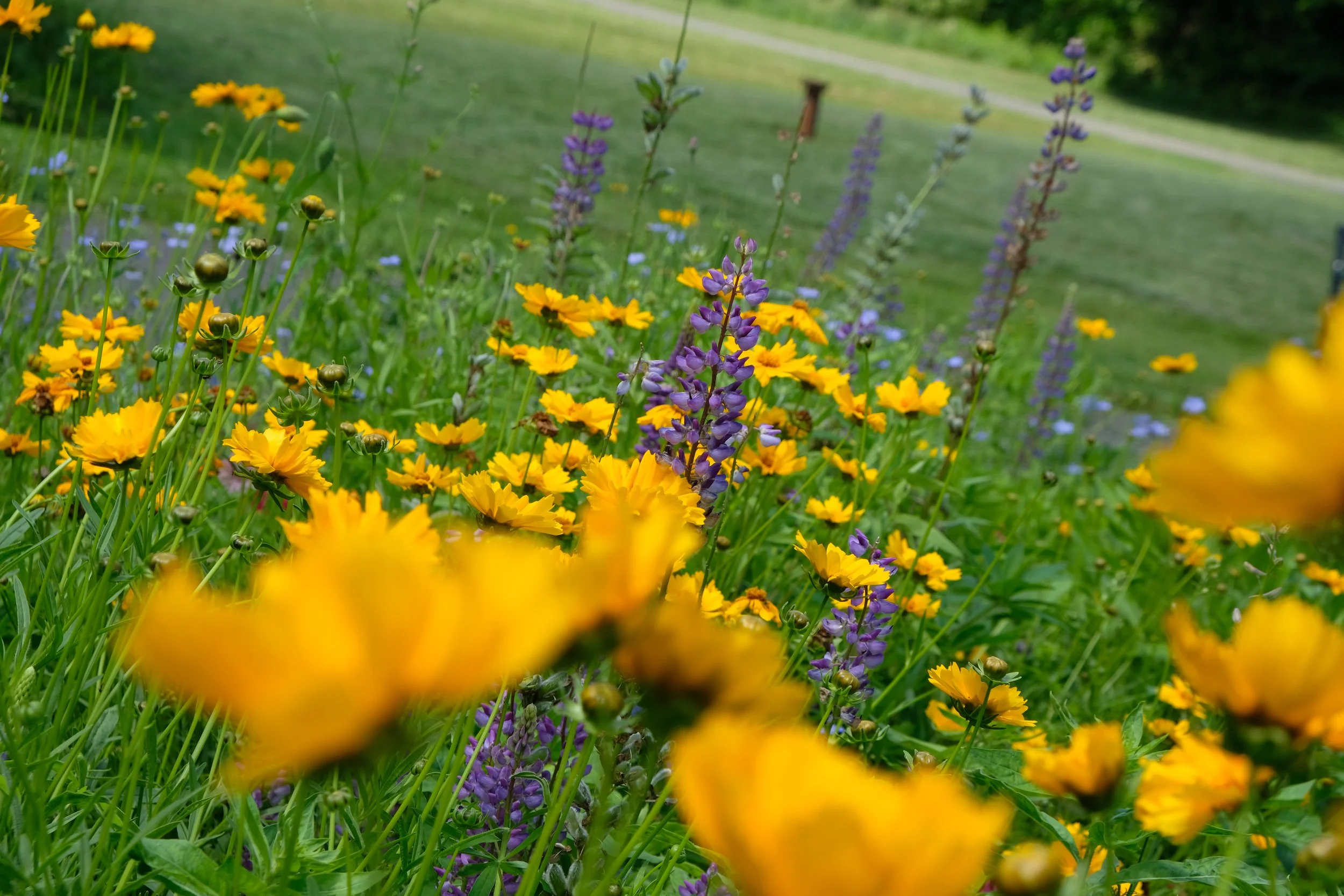 I’m back! (this time for good (i hope))