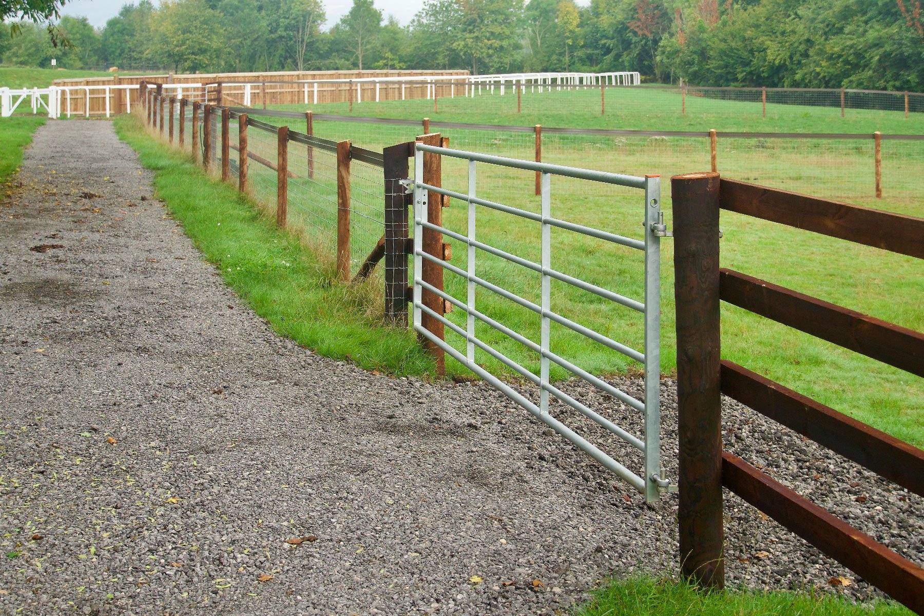 fencing-3.jpg