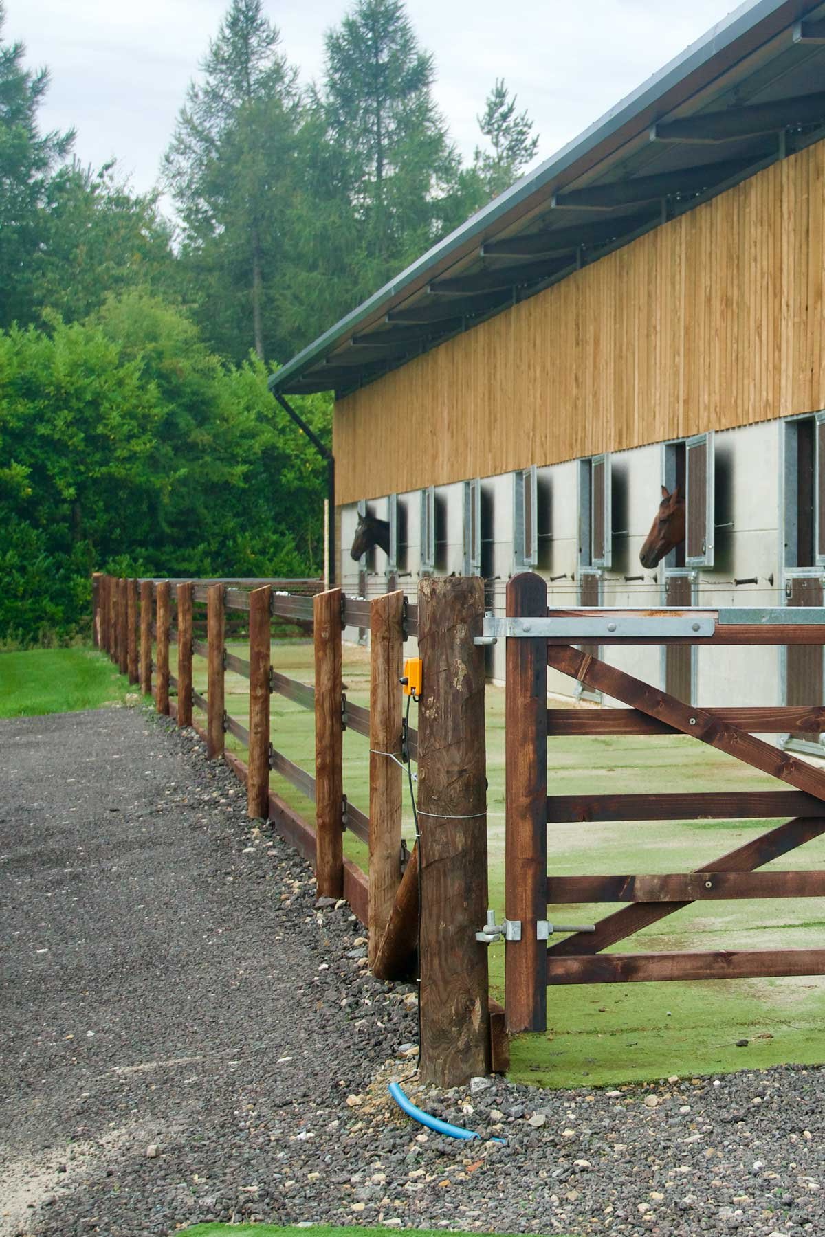 side-fence.jpg