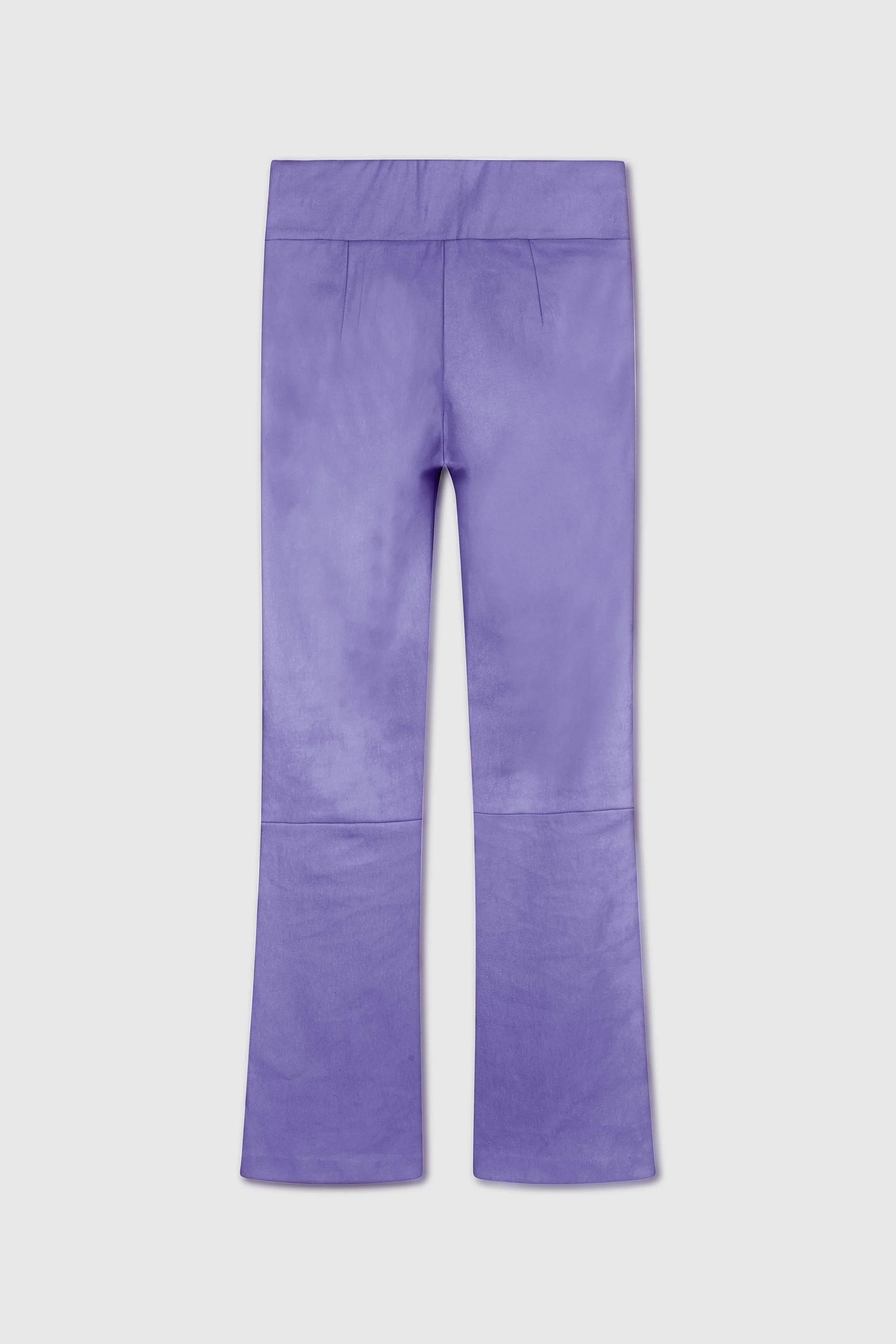 Lederhose mit Kick_viola_back.jpg