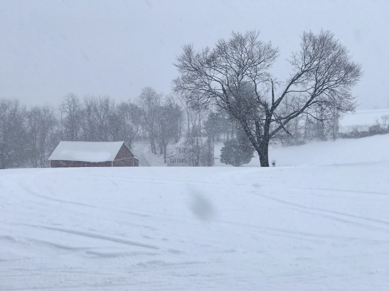 I Might Be Two Degrees of Kevin Bacon*