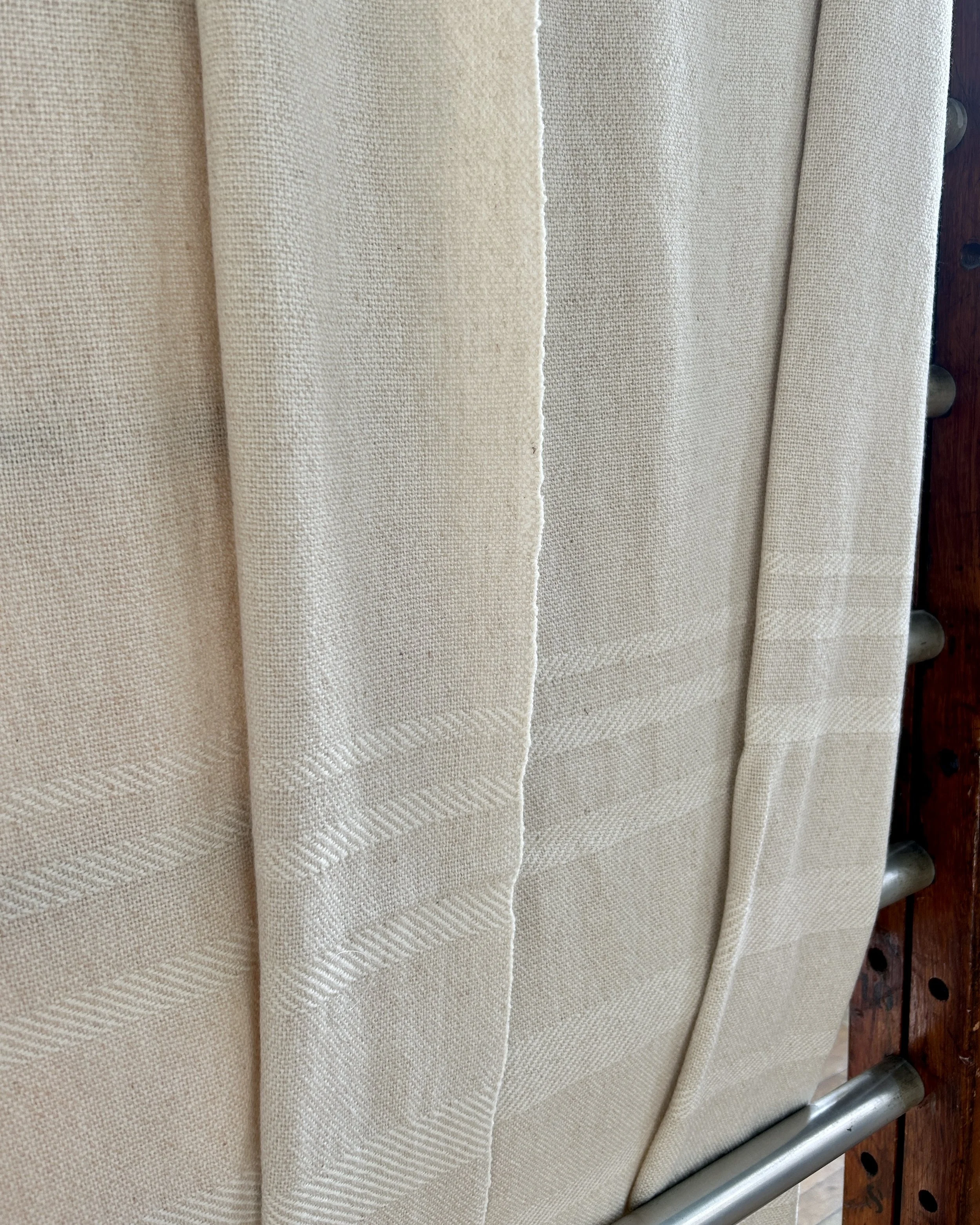 3 - Tabby - Lara Pain.JPG