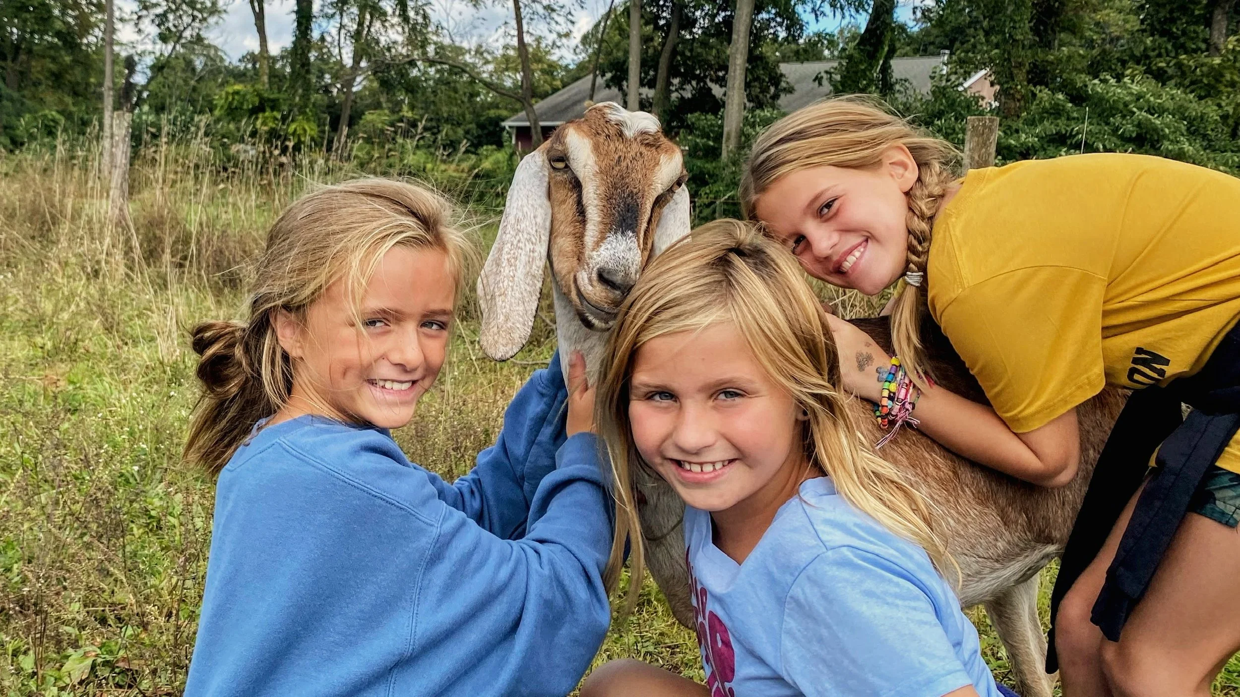 IMG_4853 Copy Copy.JPG