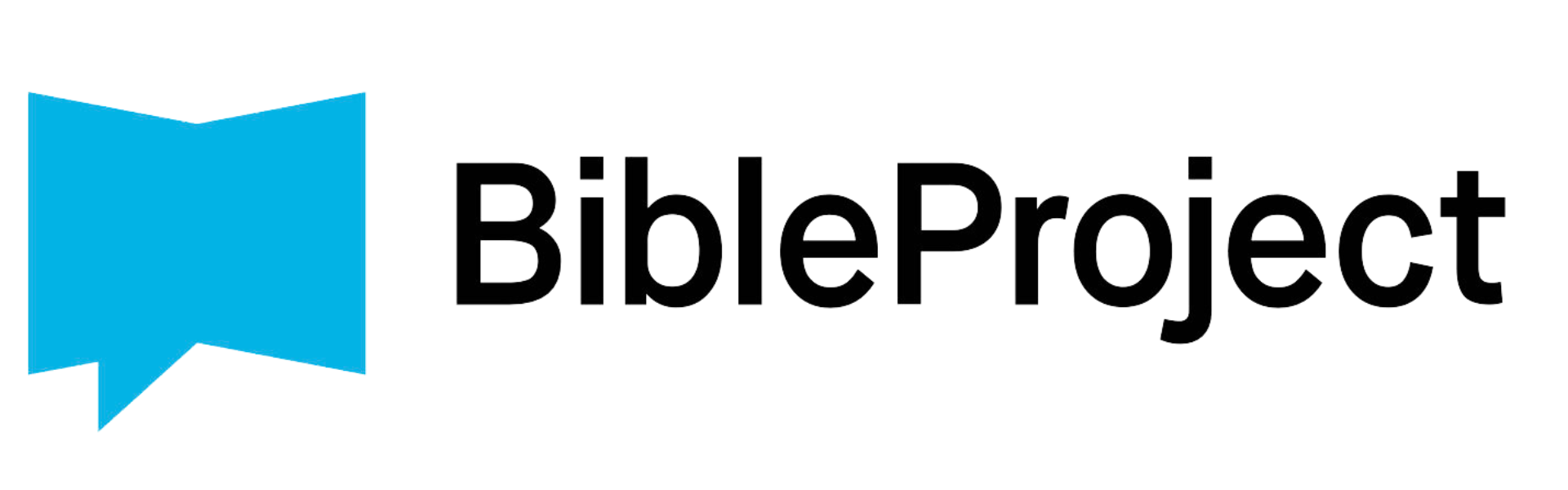 Logo of Bible Project featuring a blue bookmark icon and stylized black and gray text