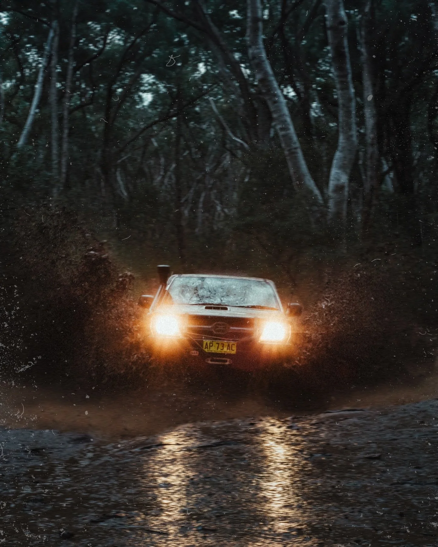 stuck in the dirt ❤️

#nature #naturephotography #naturelovers #naturalbeauty #offroad4x4 #photographylovers #4x4 #adventure 
#offroad #forests #jungle #bush #photography #photo #photooftheday📷 #canyoning #sony #sonya7iii #sonyalpha #sonyalphasclub 