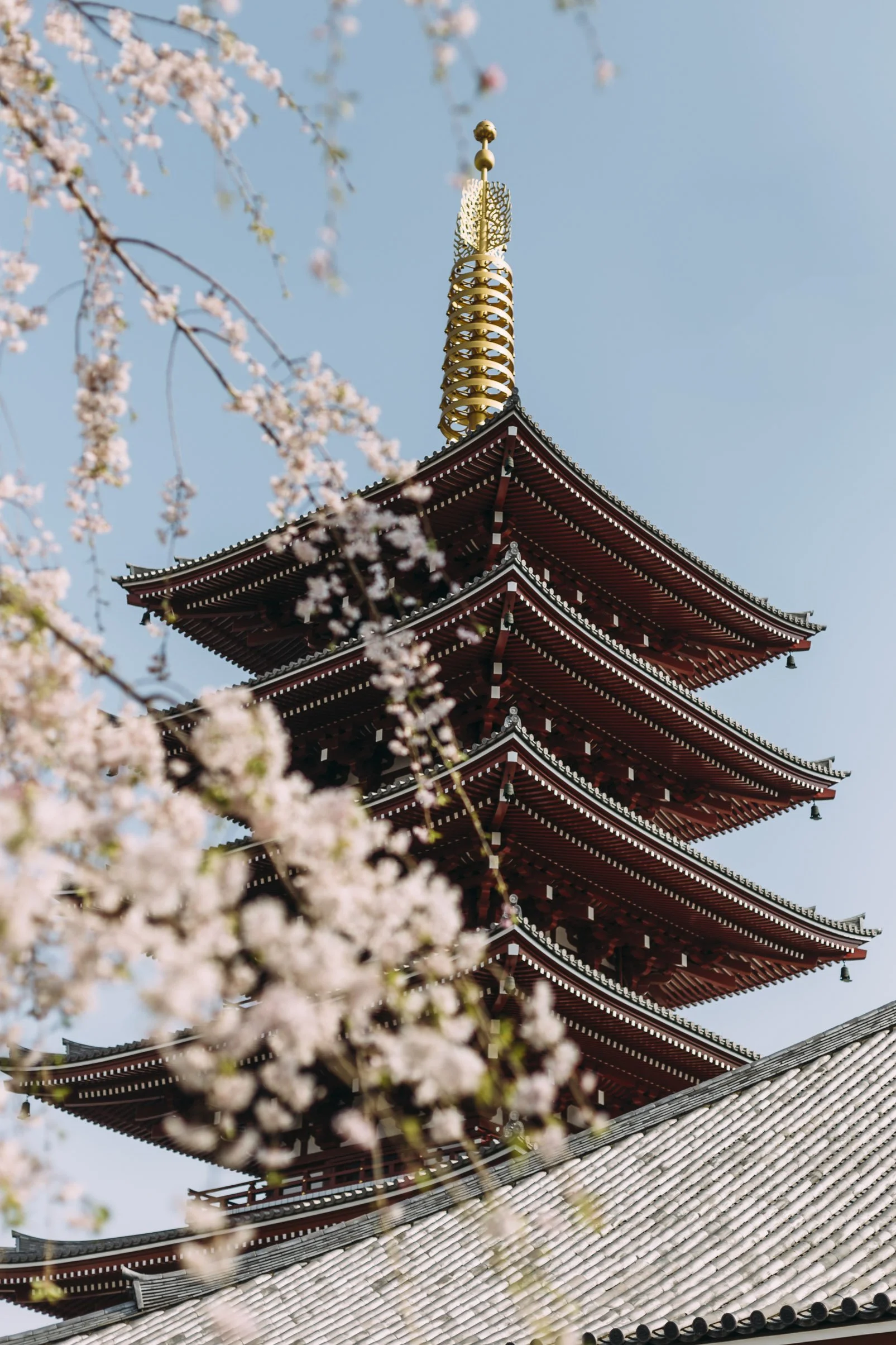 JAPAN