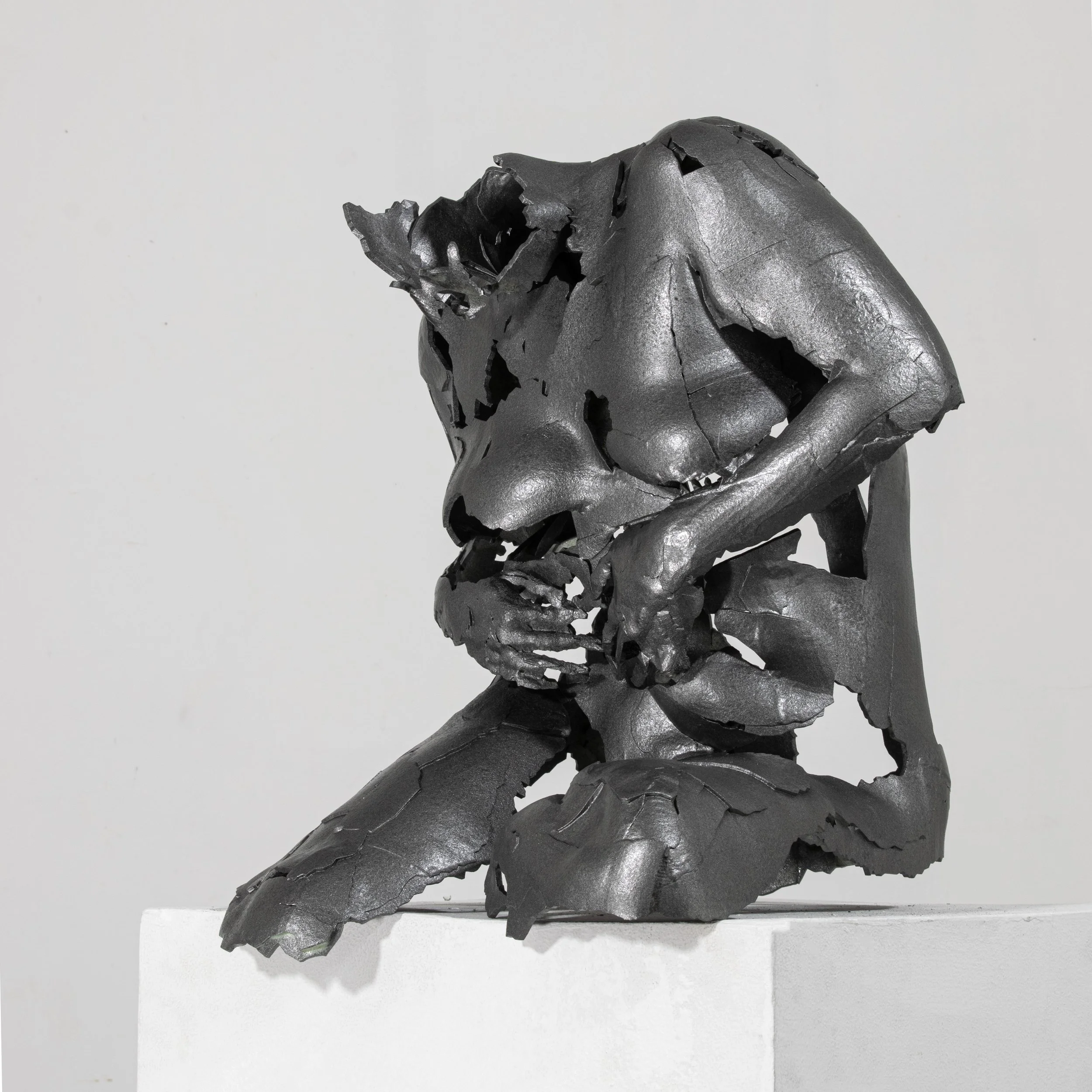 Portraitof A. 6,
3D print from 3D laser scan, metal finish
17”h x 23”w x 17”d