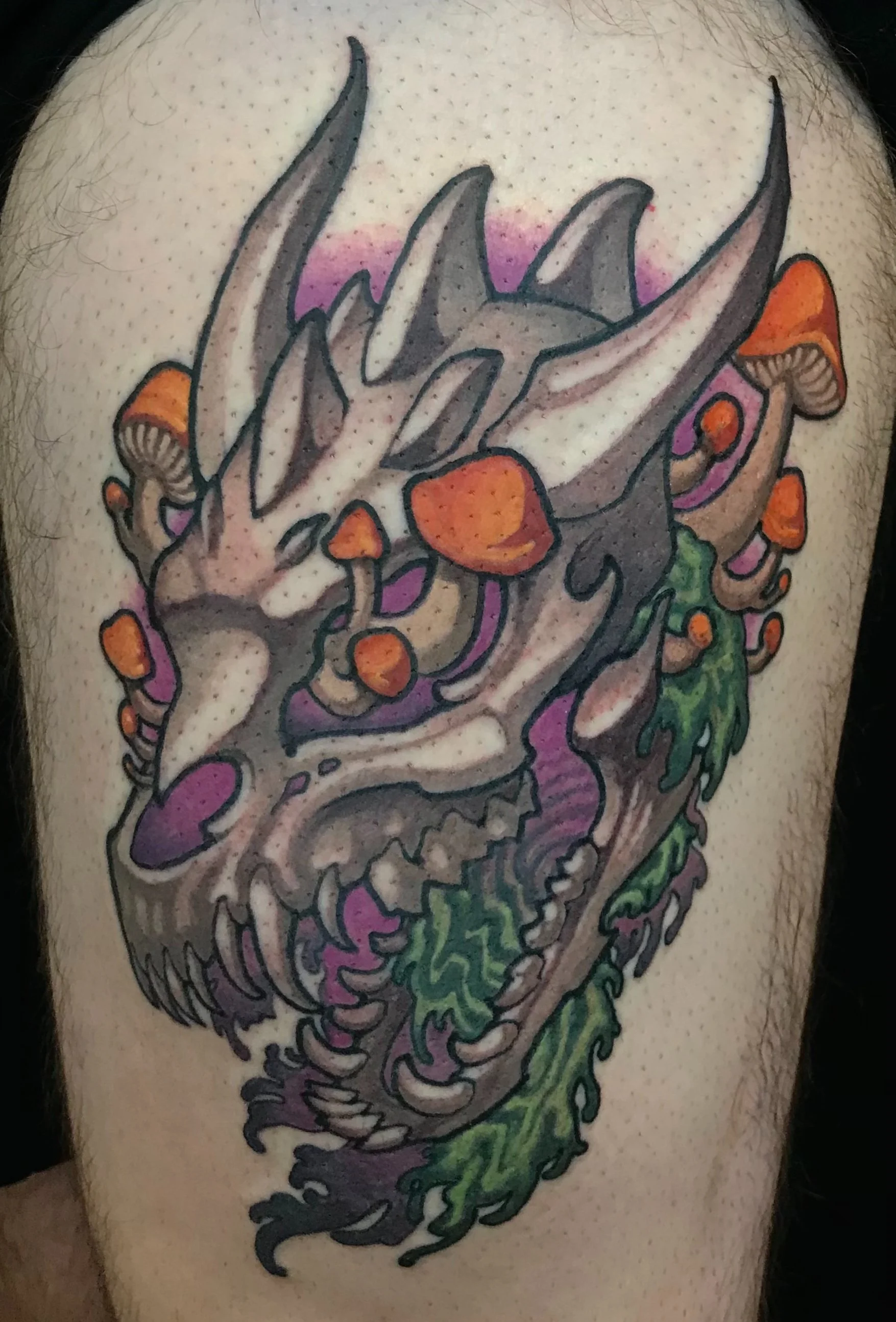 dragonskullmushroom.jpeg