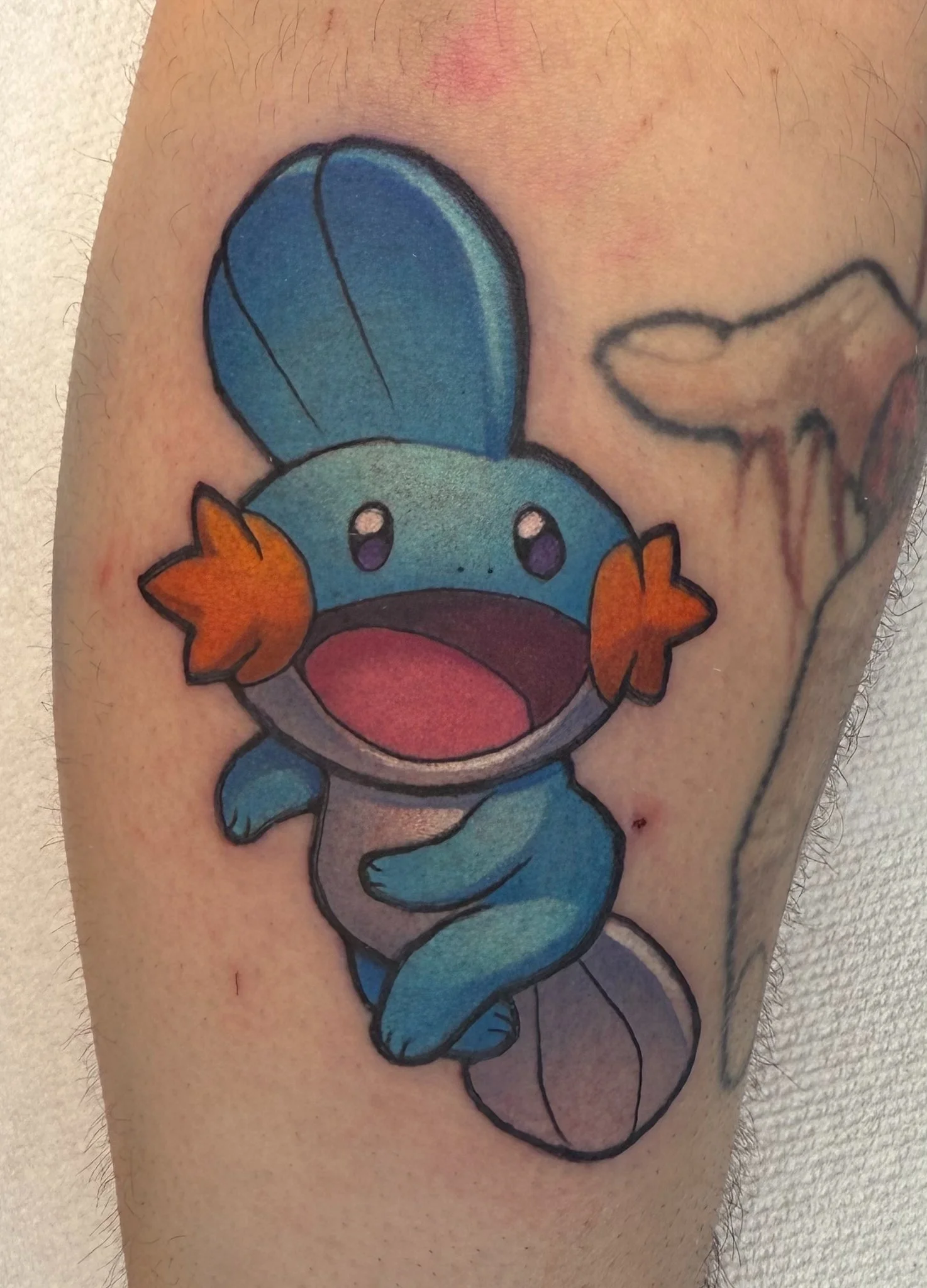 mudkip.jpeg