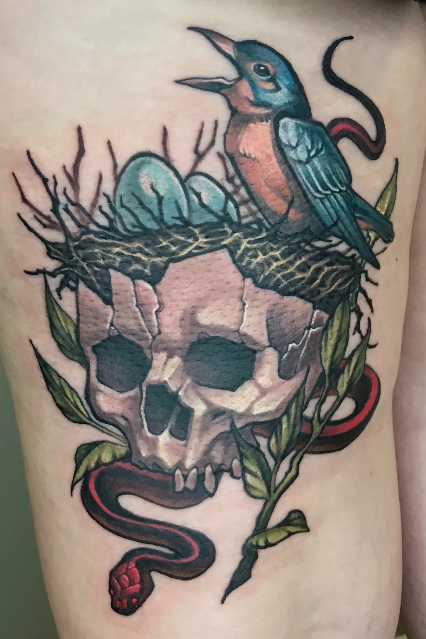 birdnestskull.jpeg
