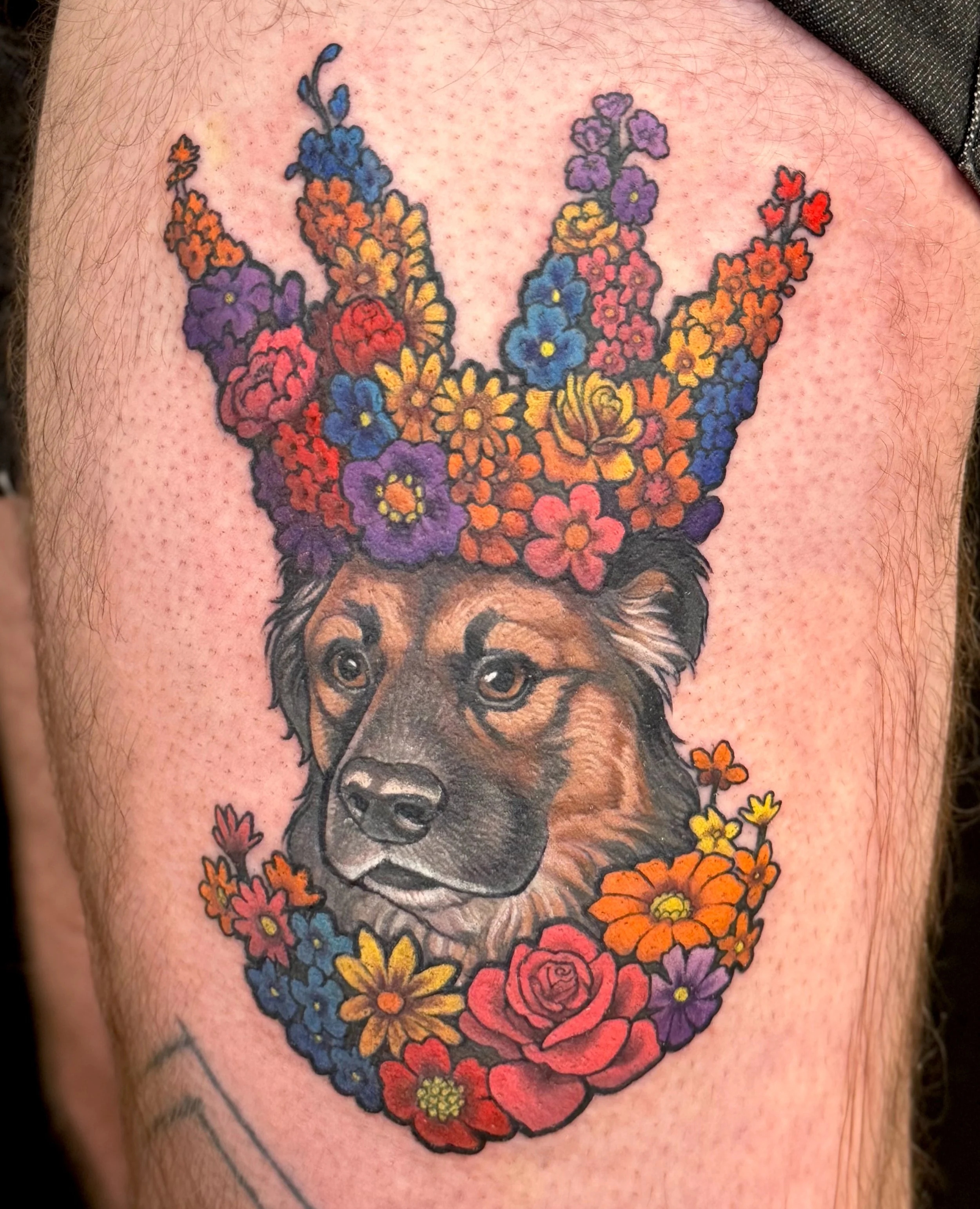 mayqueendog.jpeg