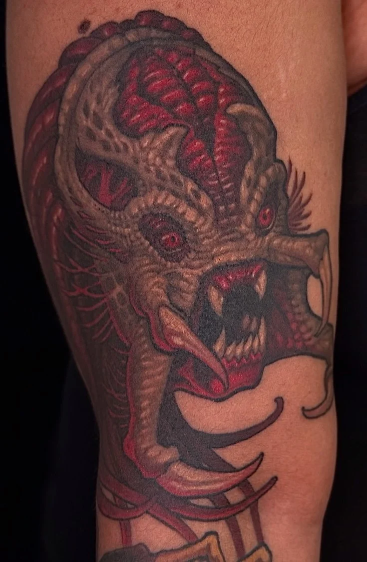 predator.jpeg
