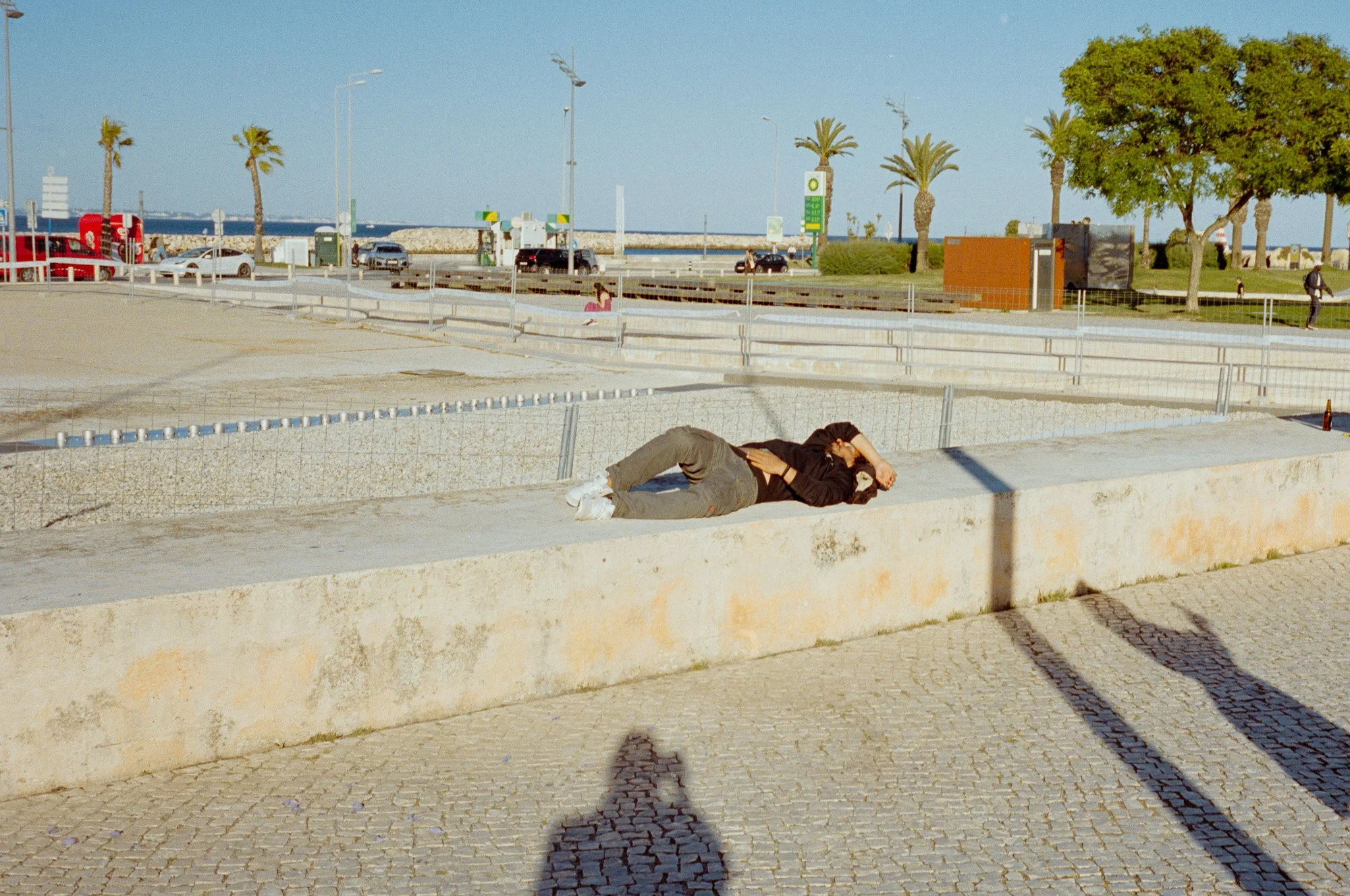 L1003403.jpg