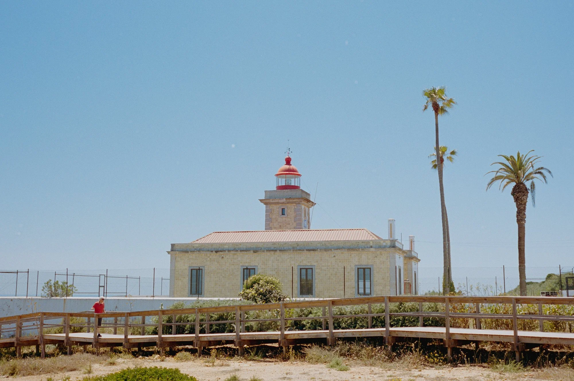 L1003418.jpg