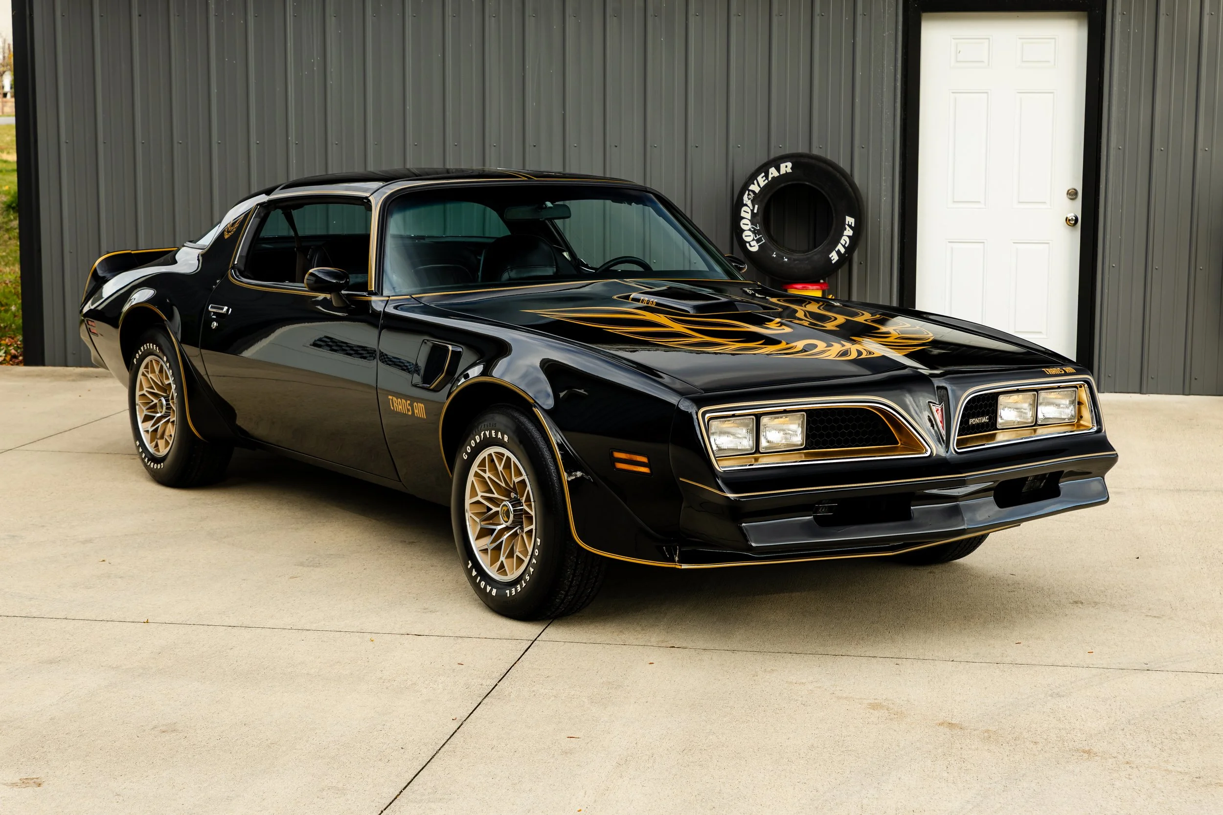 R50_F26_TransAm-8.jpg