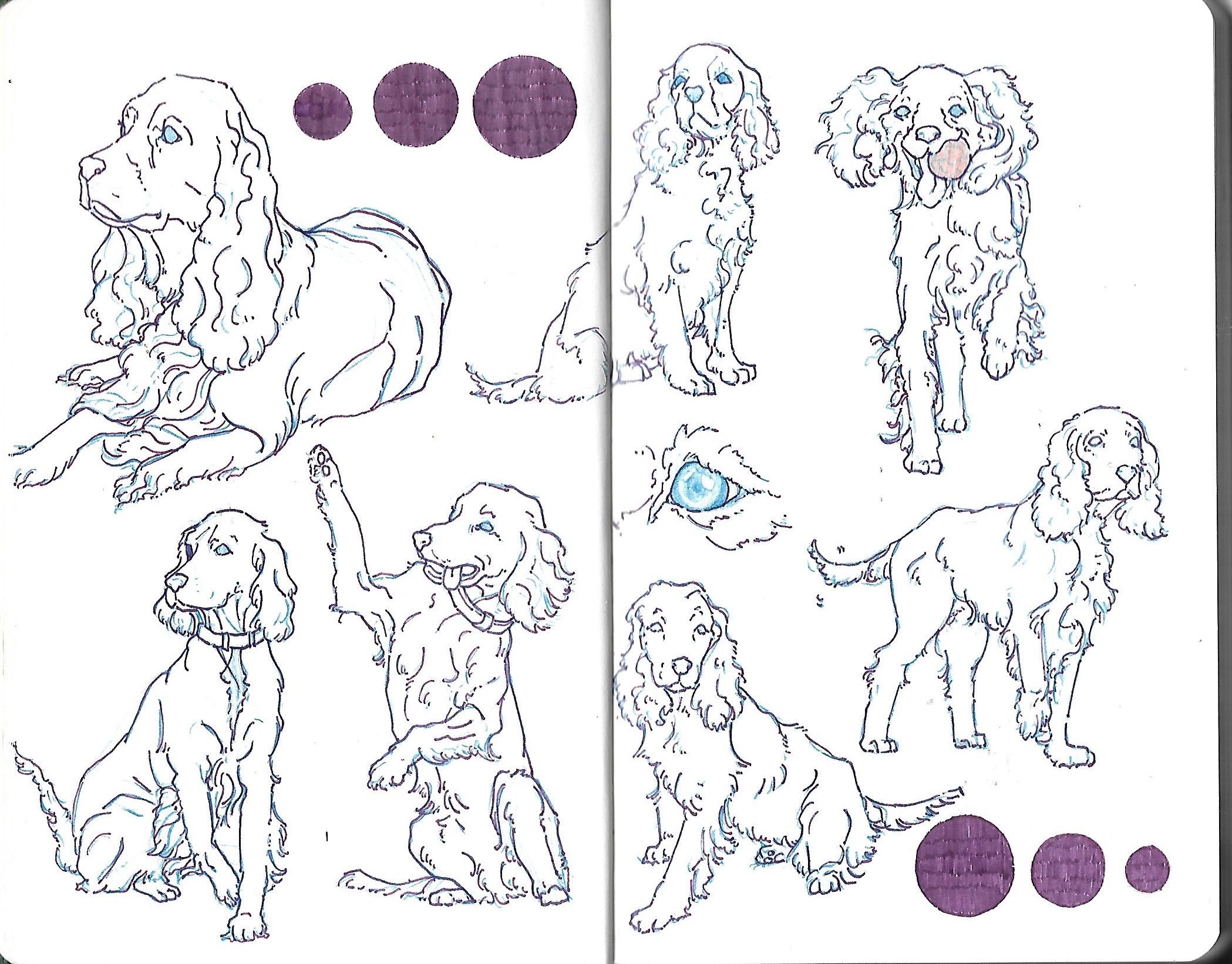green sketchbook copy 2.jpeg