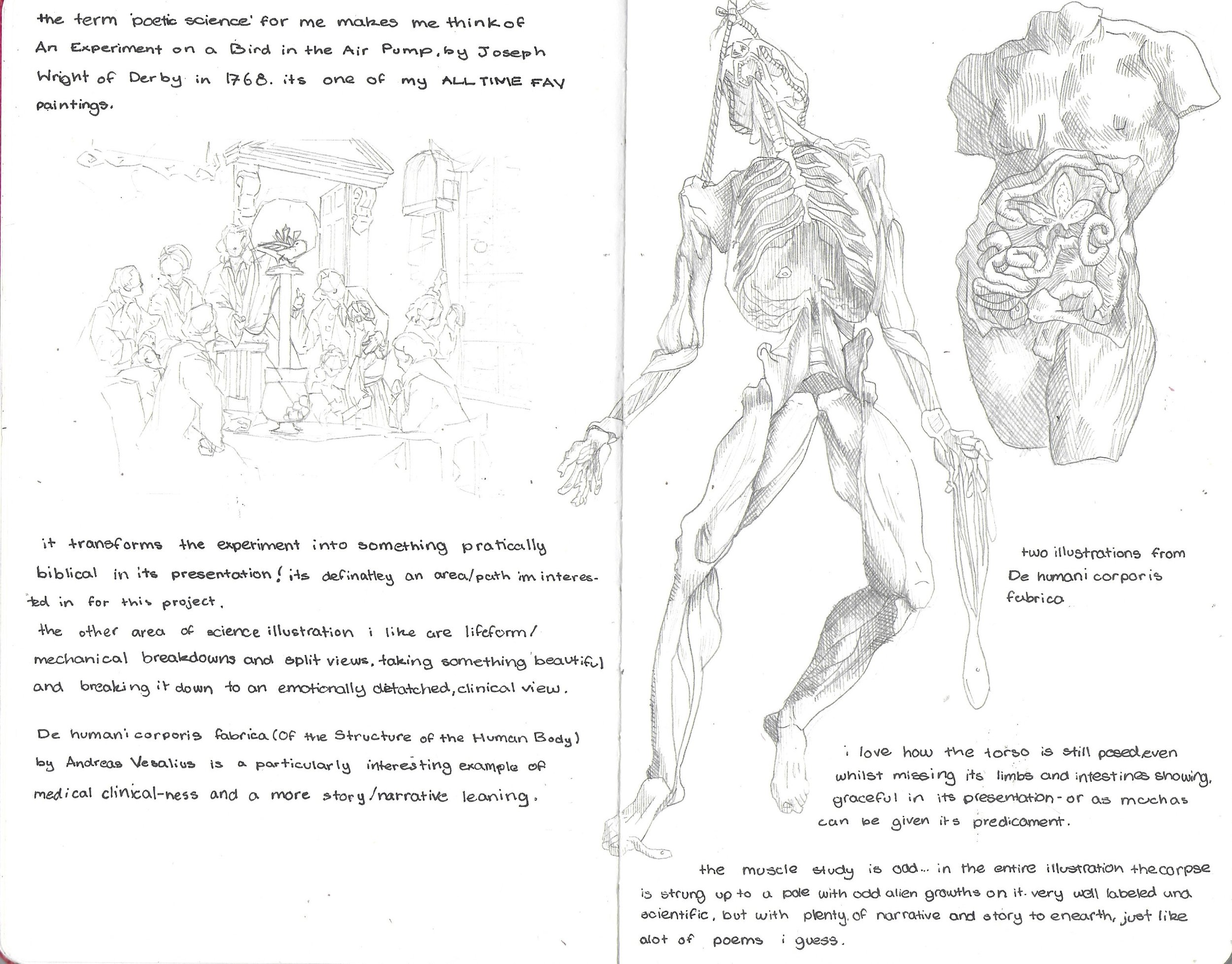 Scan 5.jpeg
