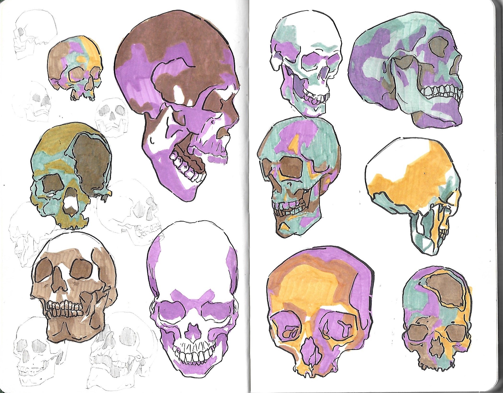 green sketchbook copy 3.jpeg