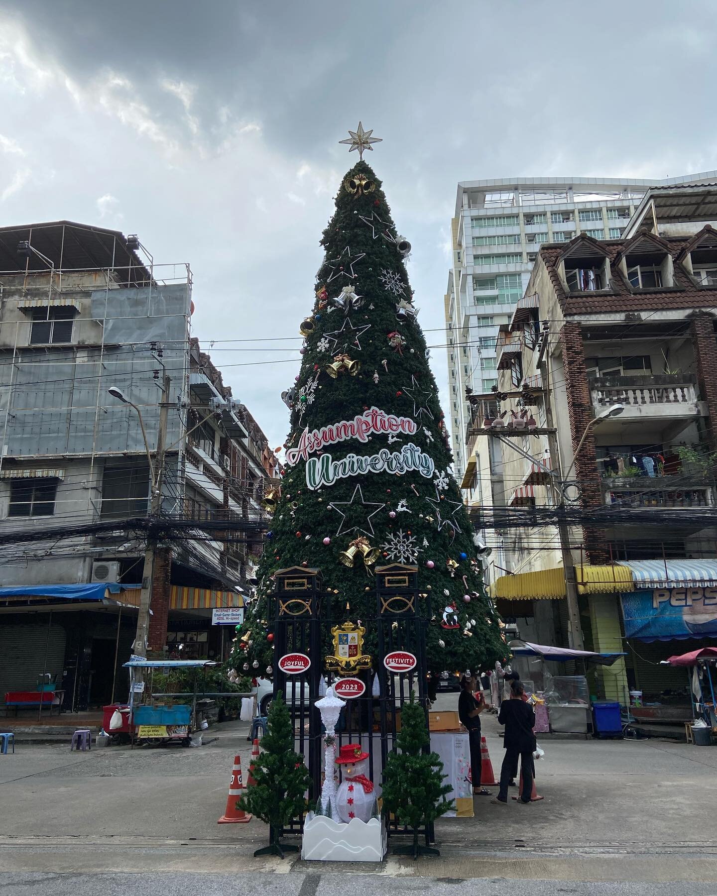 This is becoming an annual post, but, important to note the instantaneous joy and warmth that spreads across the land when they erect this mighty tree near our office.