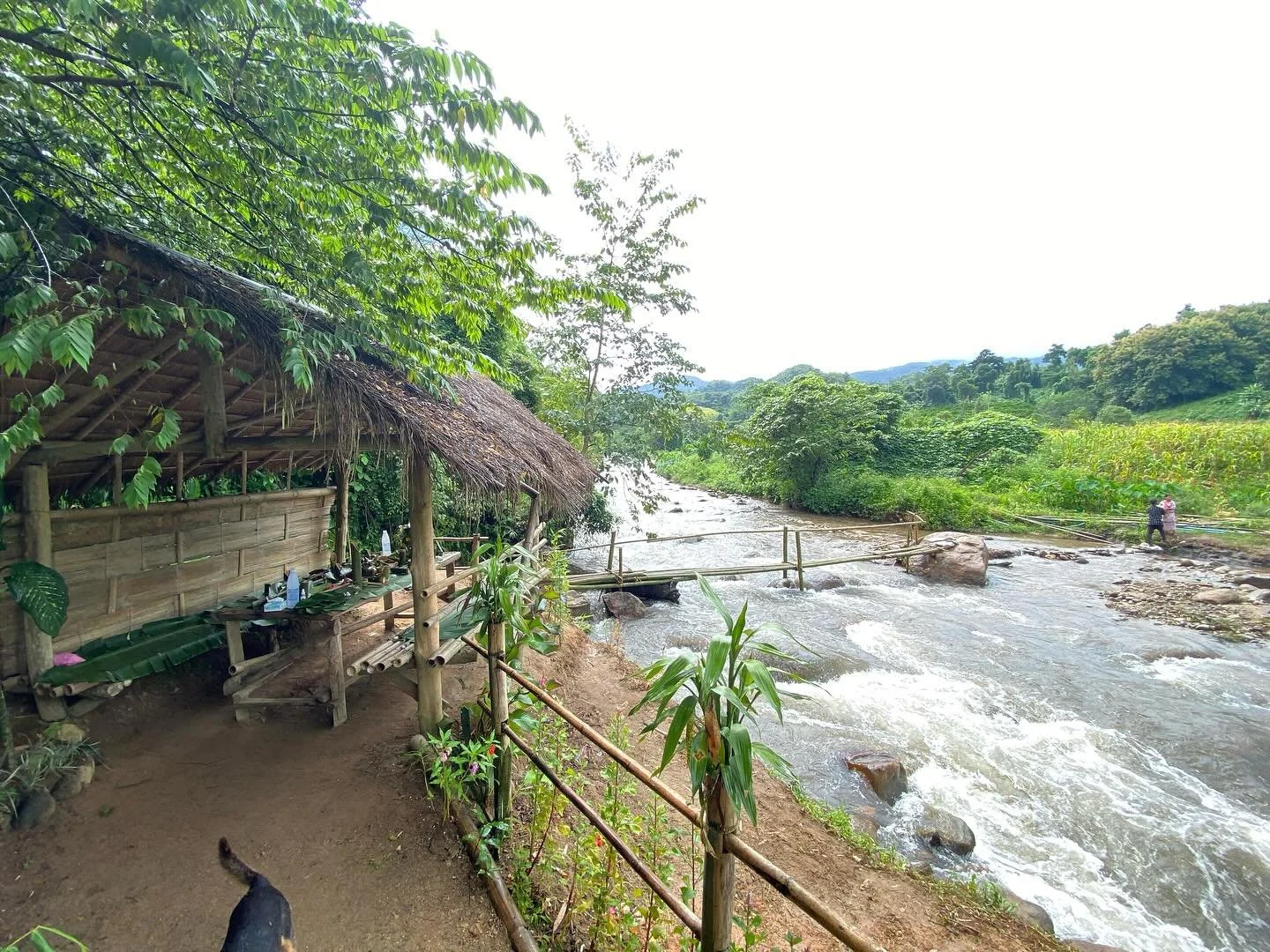 Exceptional Lahu lunch location after team village walk through the clouds.