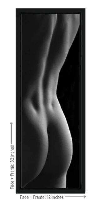 Male Slice 10x30 canvas framed-version2.jpg