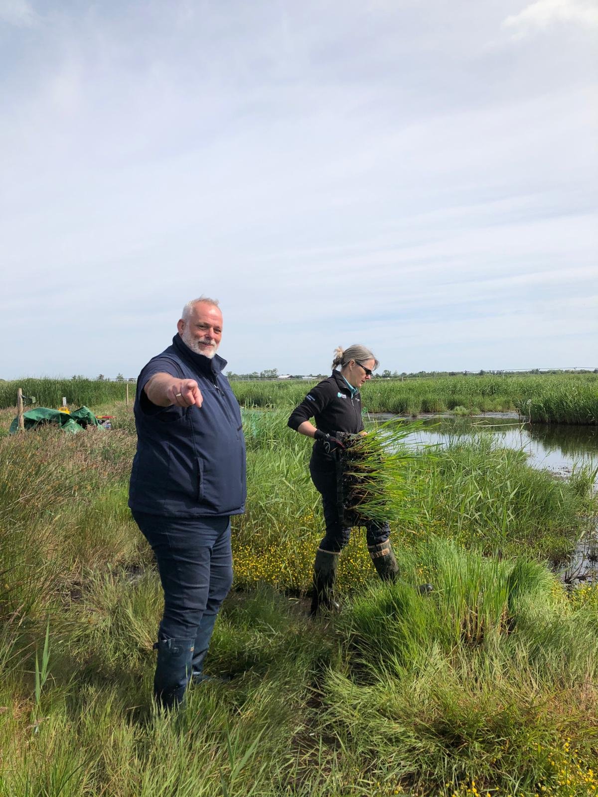 24.06.13_Reed and Typha Planting_Broads Authority_06.jpeg