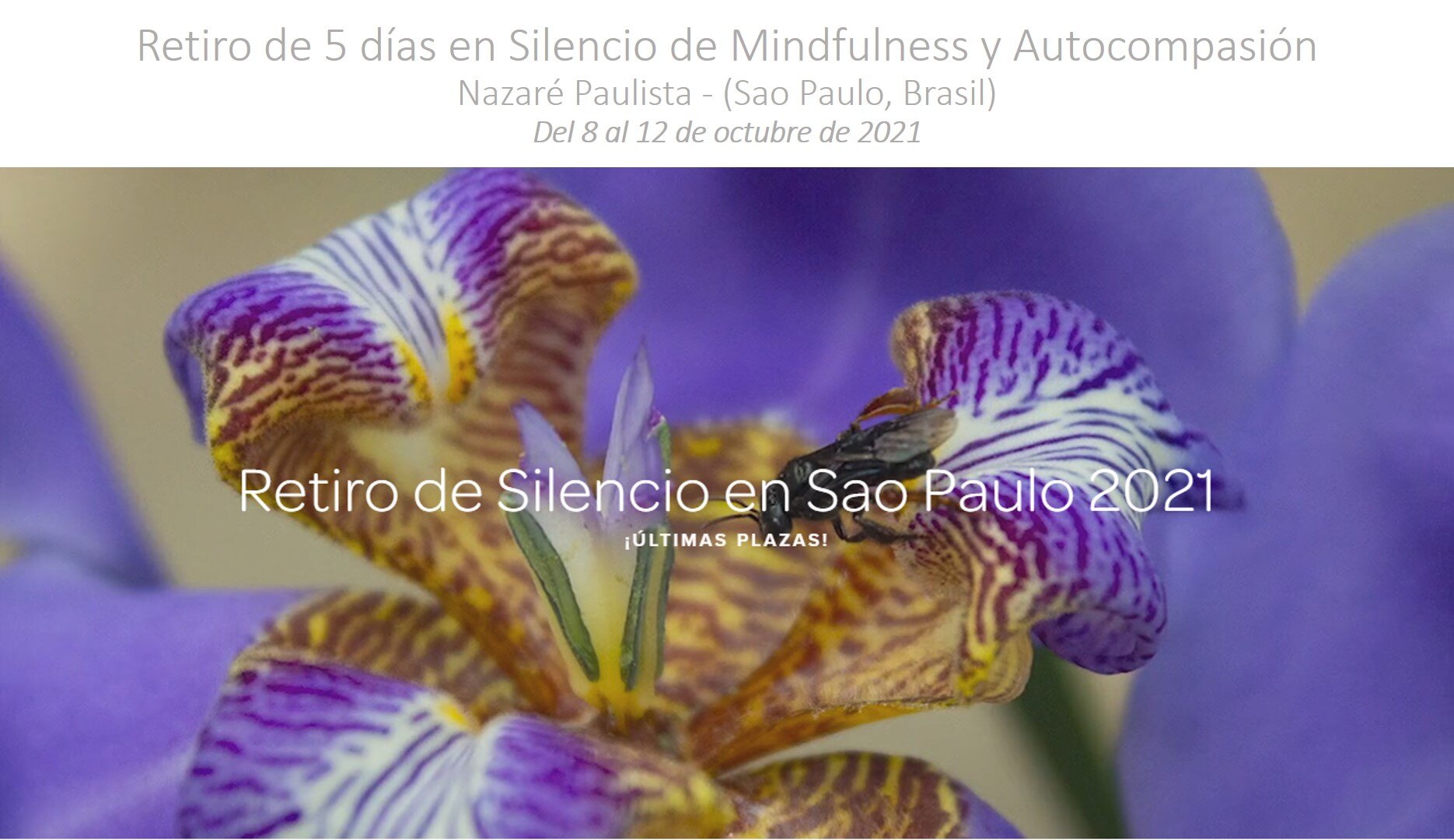 Retiro de 5 días en Silencio de Mindfulness y Autocompasión en Sao Paulo (Brasil) - Octubre 2021