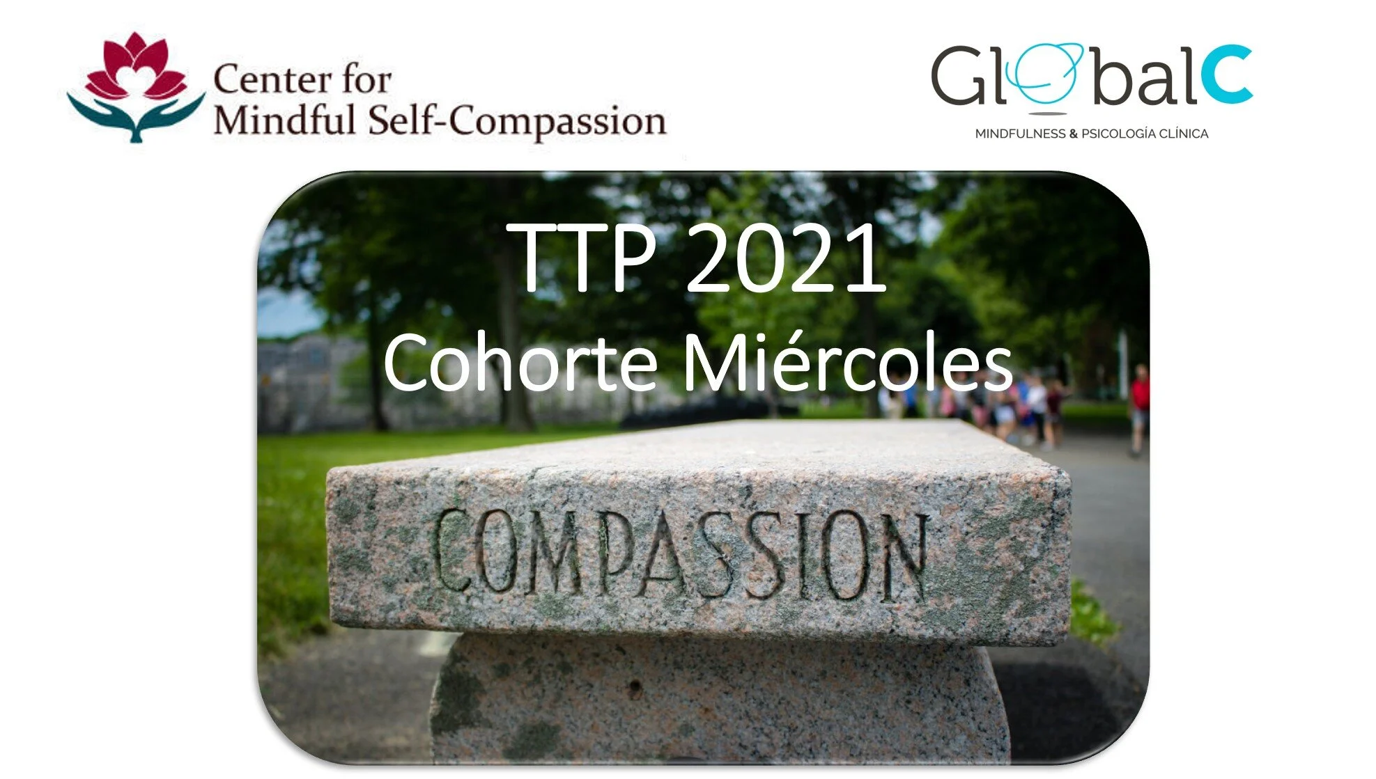 Teacher Training Practicum (TTP) en Español - Cohorte Miércoles - desde Sept. a Dic. 2021