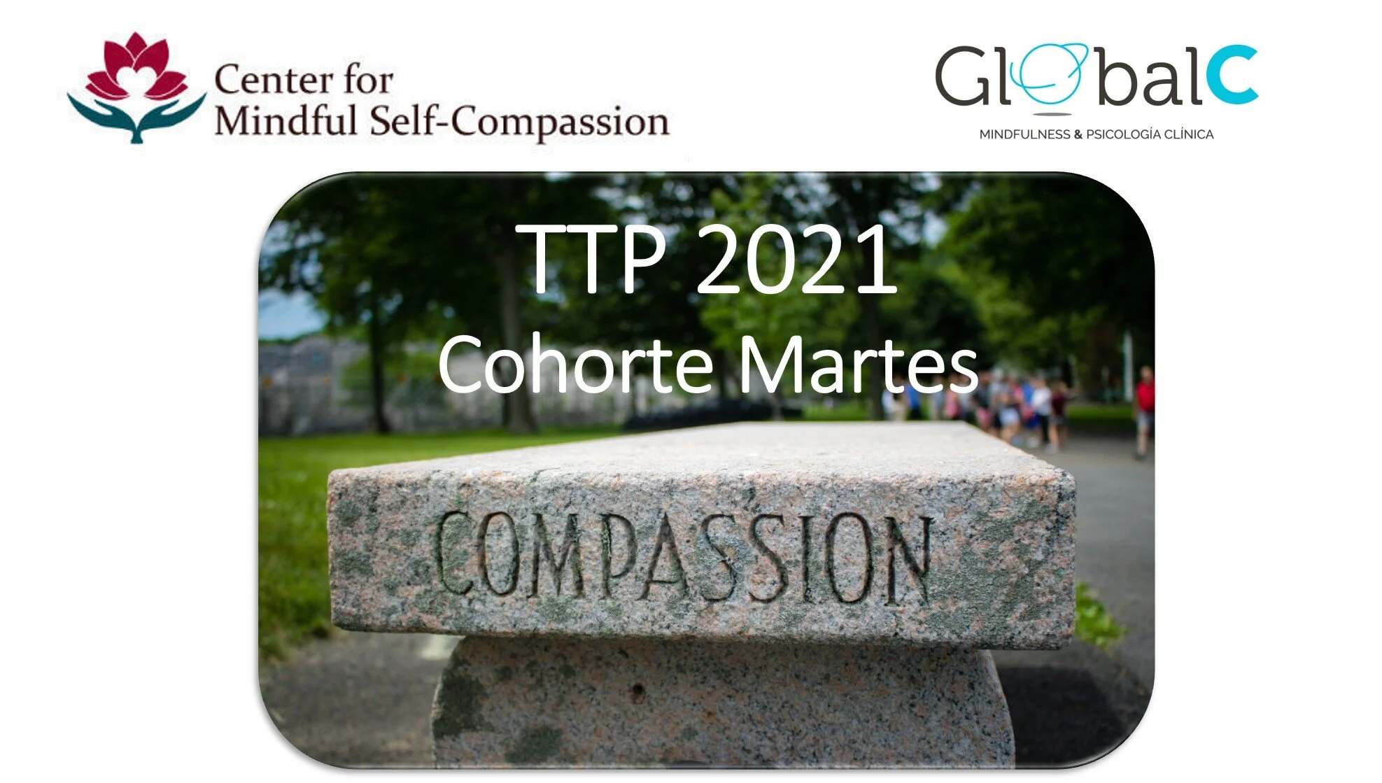 Teacher Training Practicum (TTP) en Español - Cohorte Martes - desde Sept. a Dic. 2021