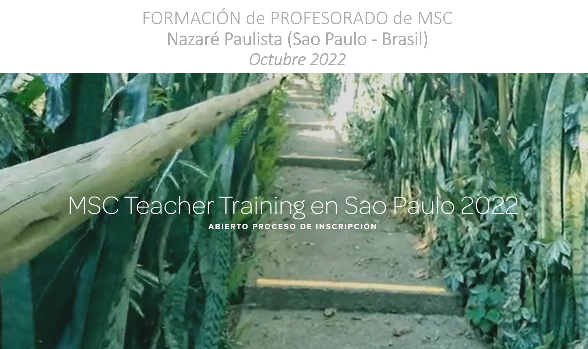 MSC TEACHER TRAINING en Sao Paulo (Brasil) - octubre 2022