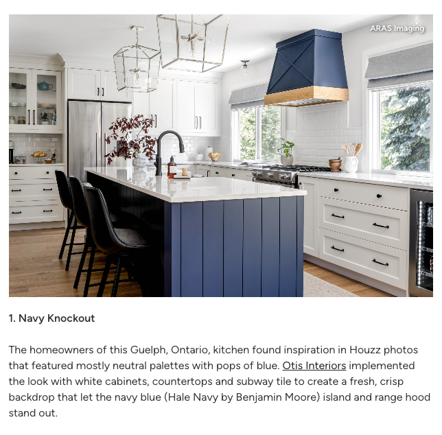 Otis Featured in Houzz Article - 10 Most Popular Kitchens