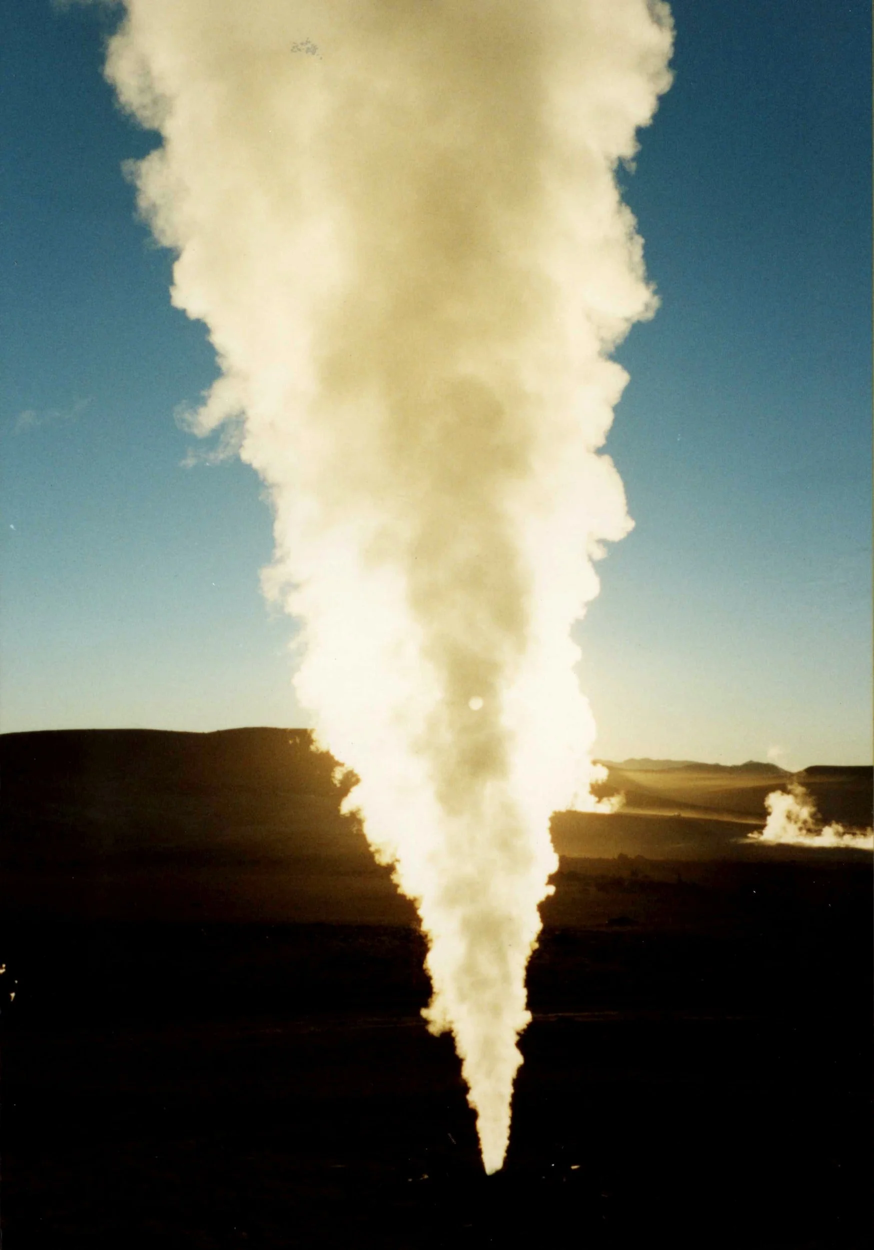 STEAM LINE TREATMENT