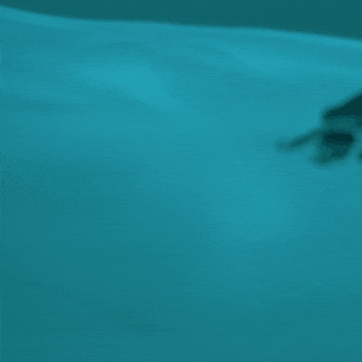 Vessel Floats Sensory Deprivation Float Therapy NYC