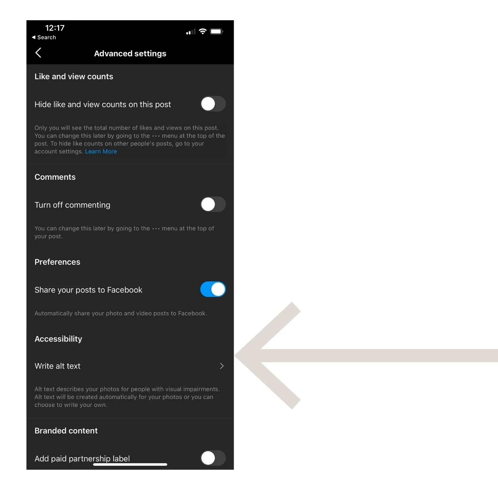 Click on "Write alt text" under Accessibility