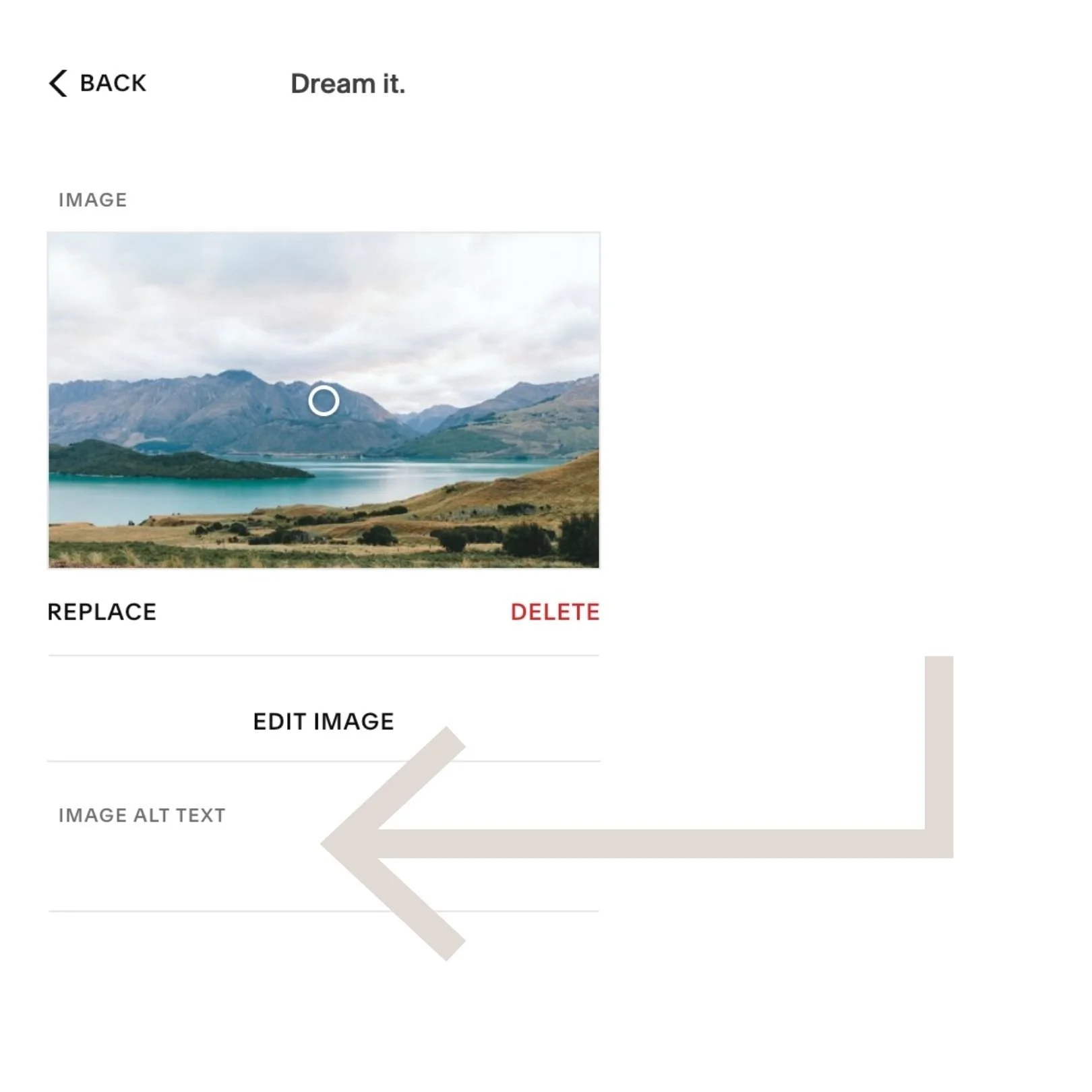 Add the alt description in the box just under the image