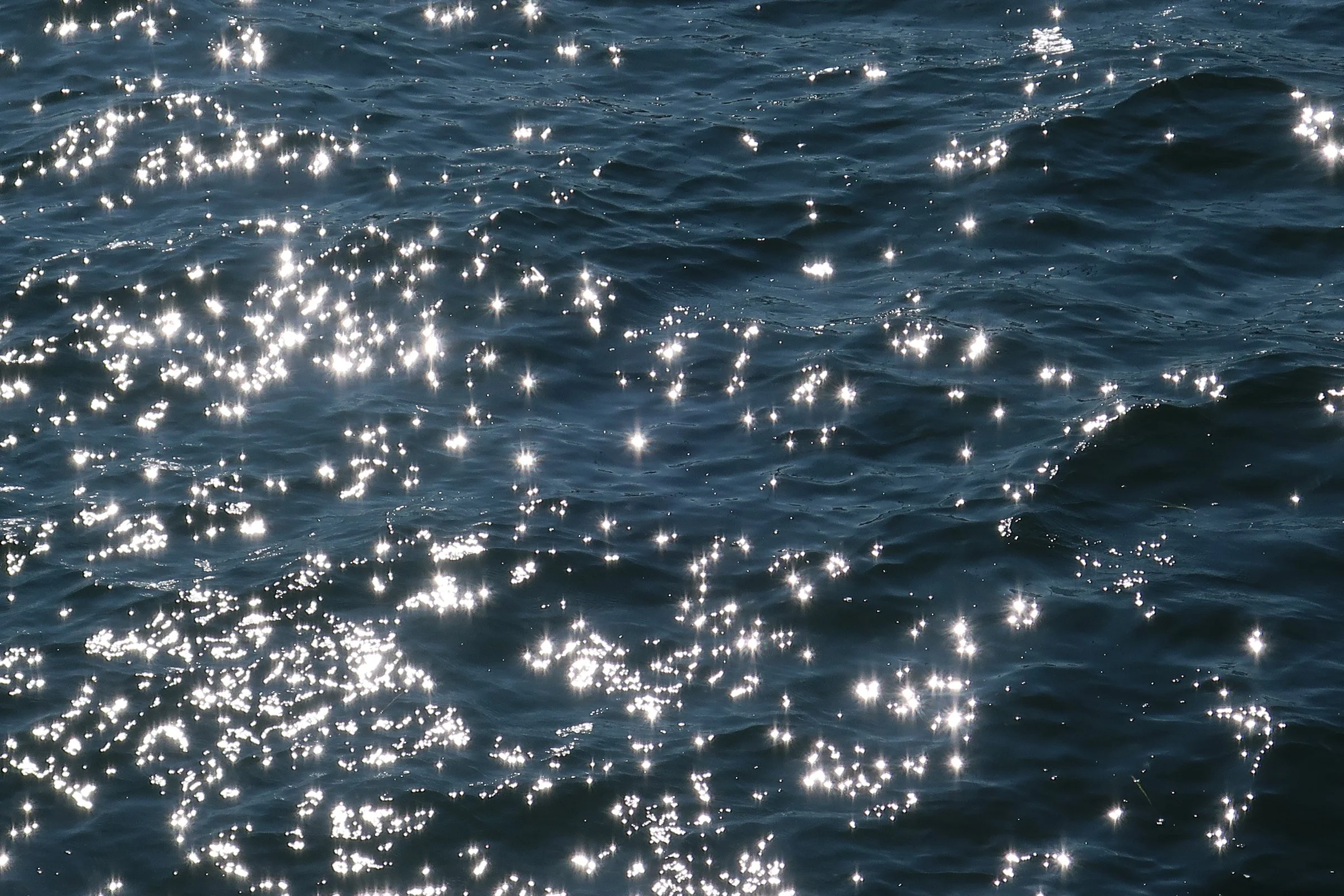 Havets stjernehimmel.JPG