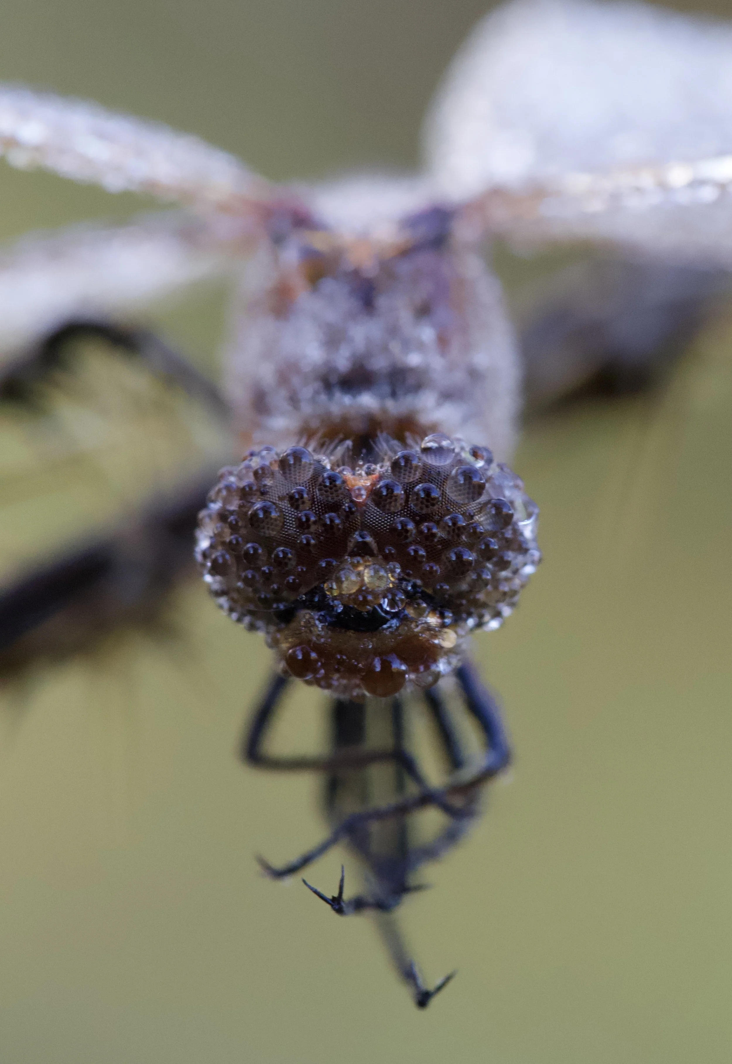 IMG_8655 Edited.jpeg