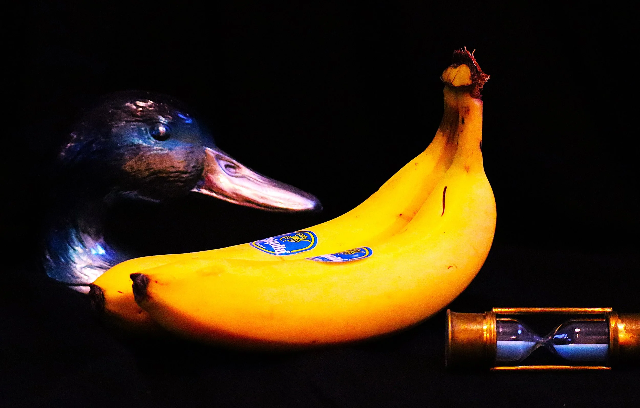 banan og and.jpg