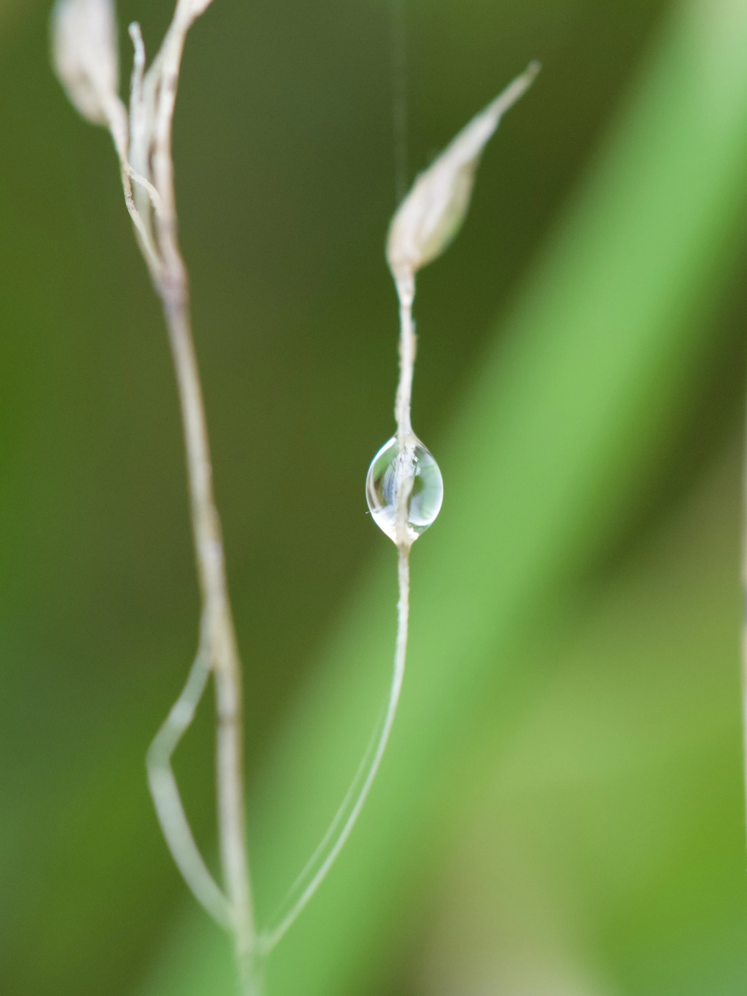 IMG_8239 Edited.jpeg