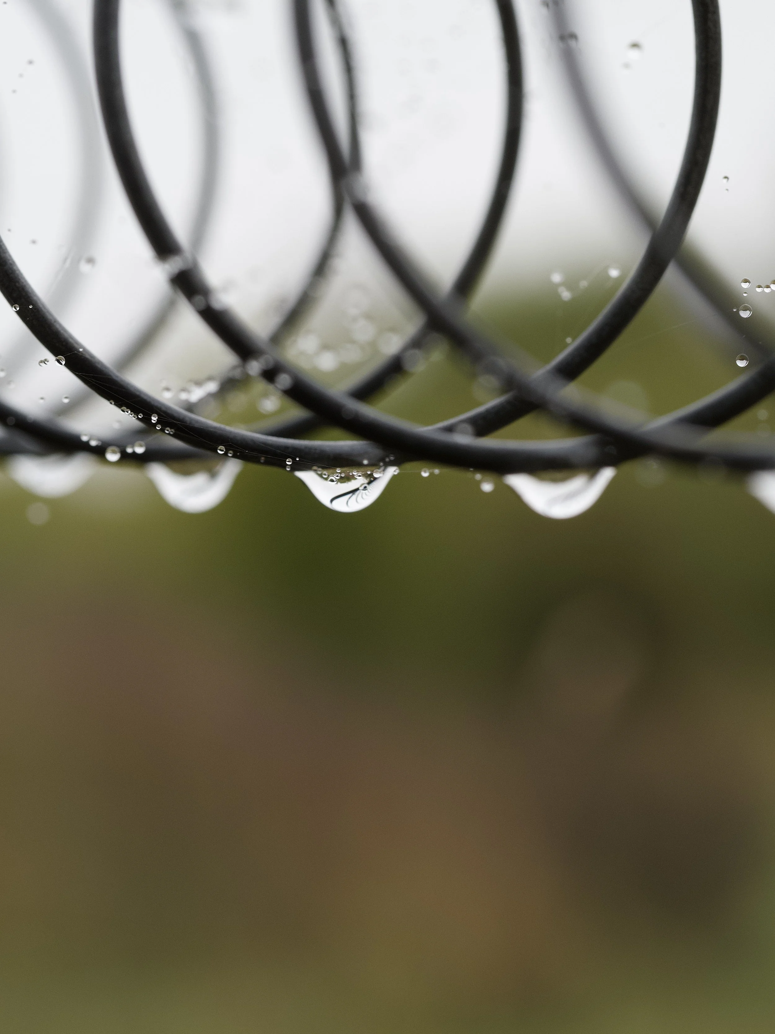 IMG_8440 Edited.jpeg