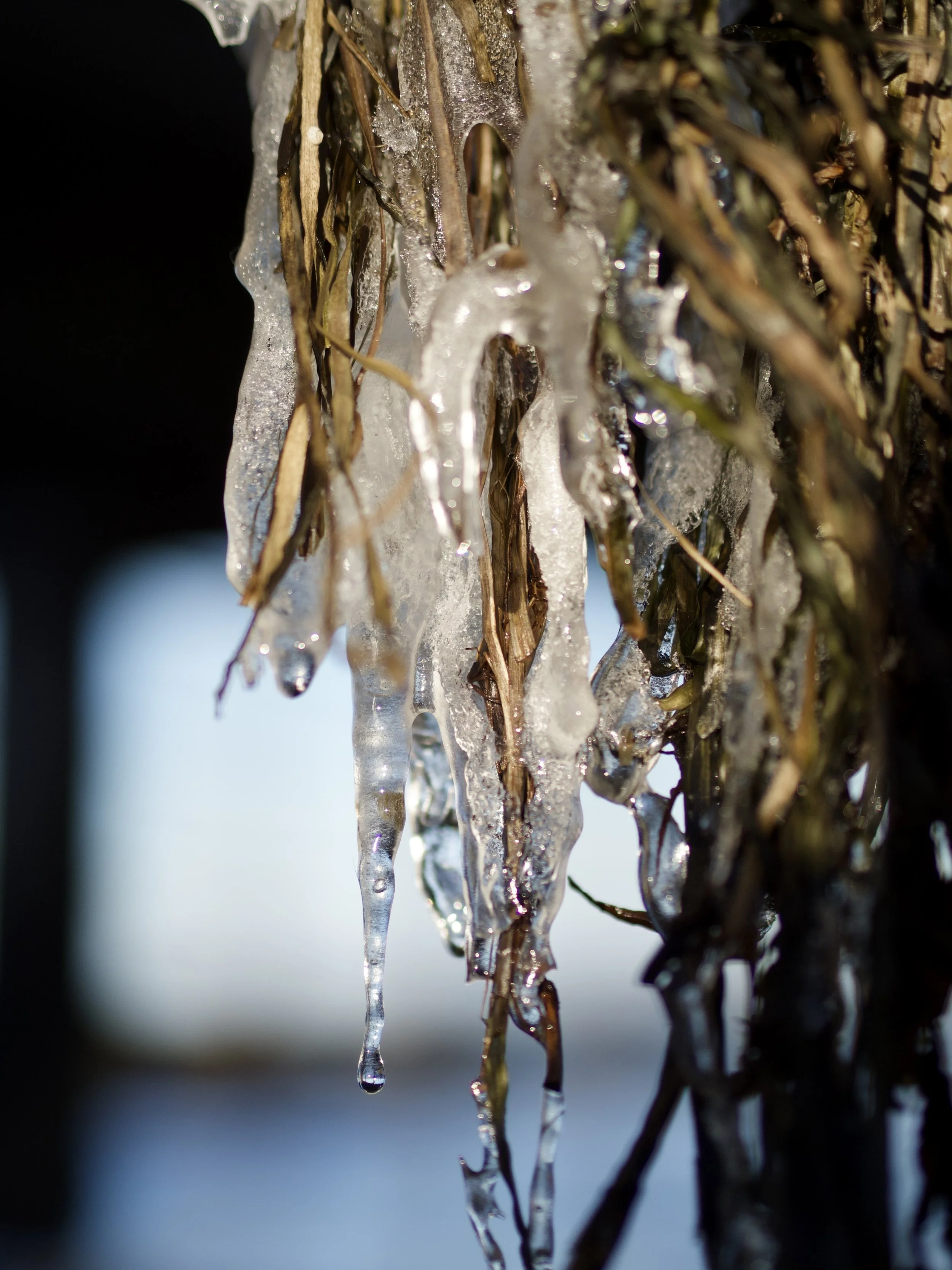 IMG_7291%2520Edited%20Edited 1 Edited.jpg