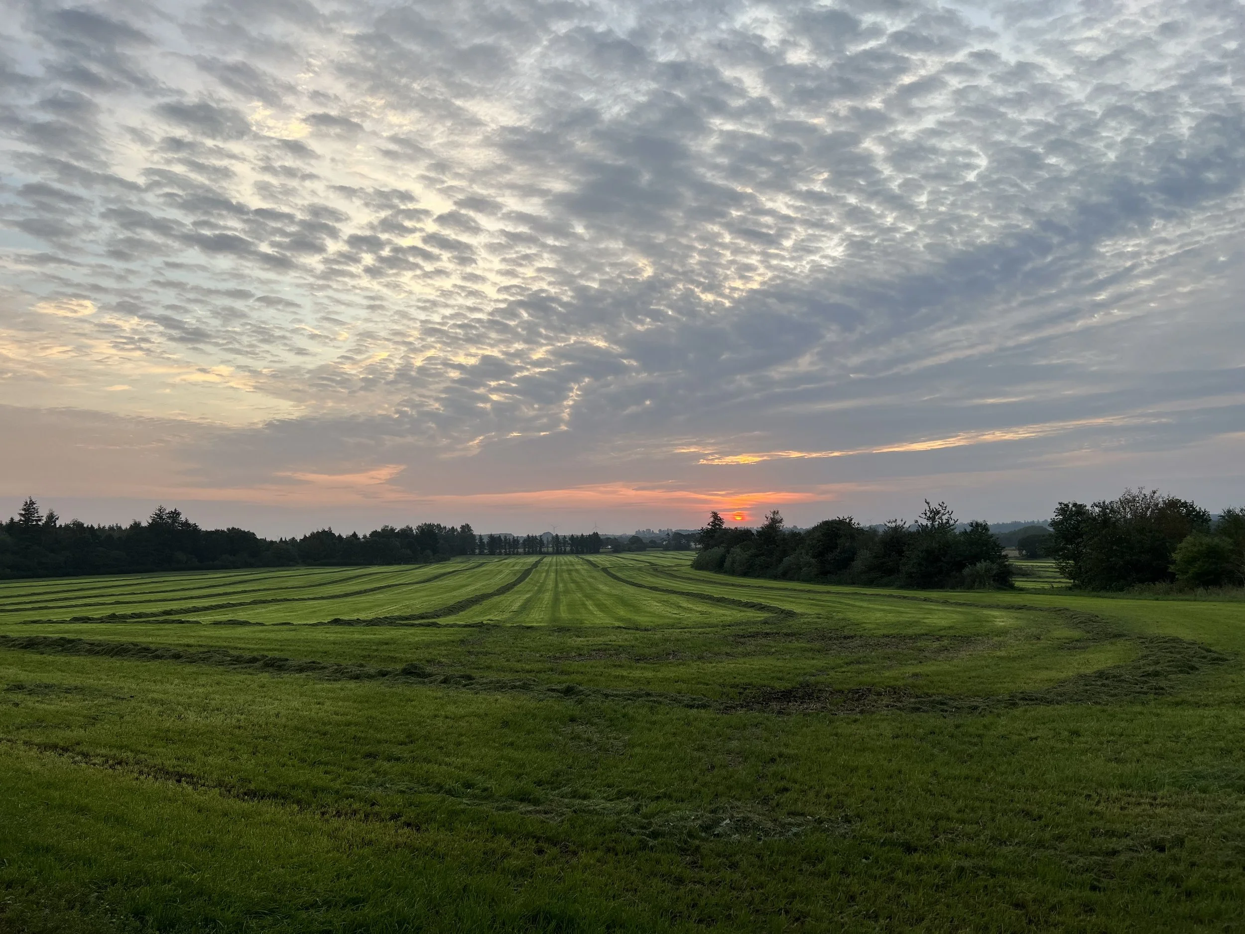 7Sept2024 Solopgang Sepstrup Jylland.jpg