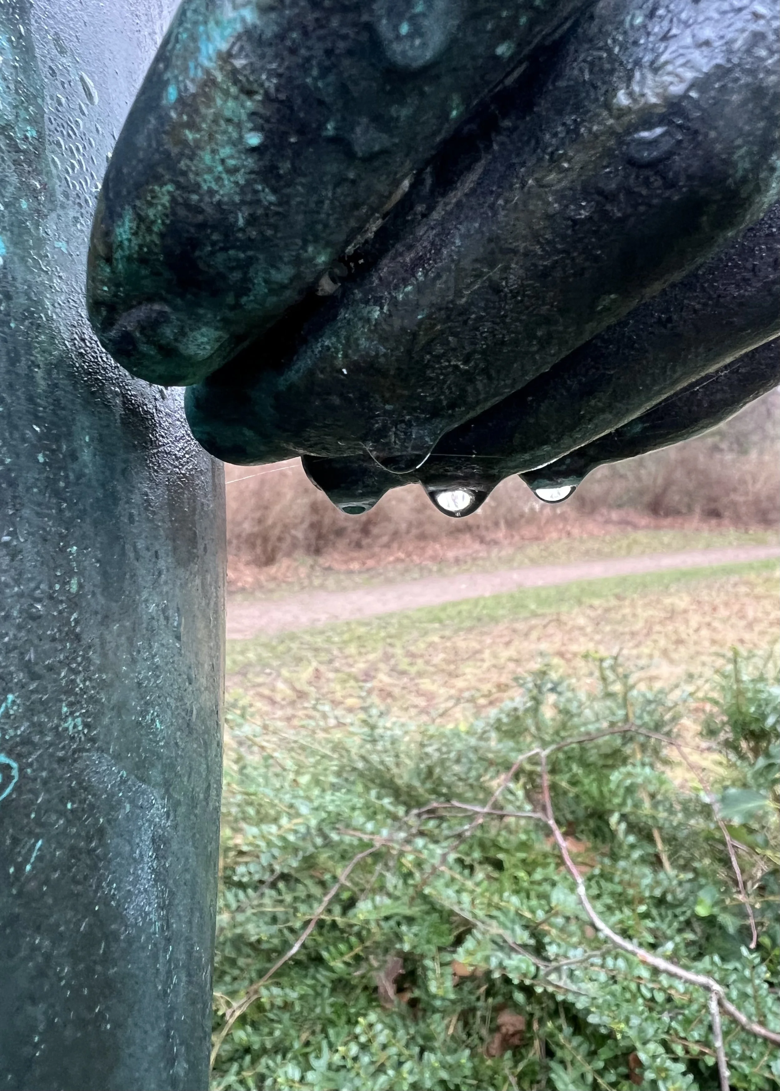 6Feb2025 Ung atlet med dråber, Dyssegårdsparken IMG_8712.jpg