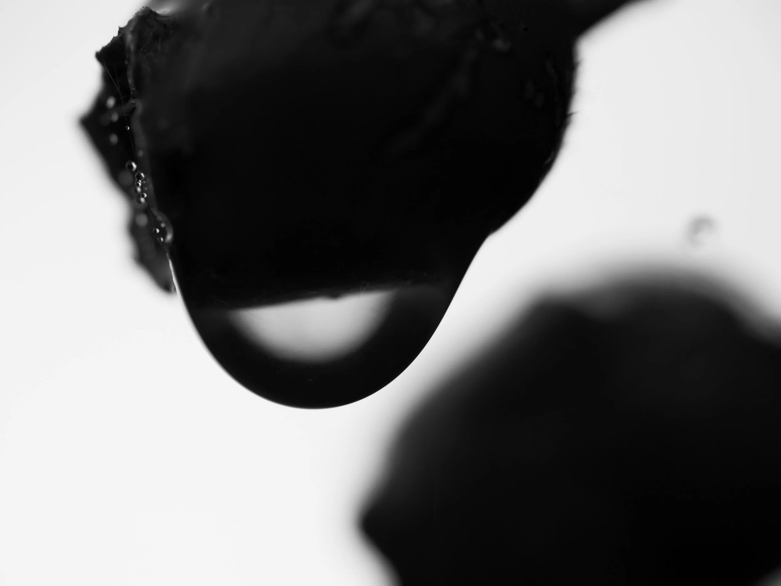 IMG_8488%20Edited 7 Edited.jpg