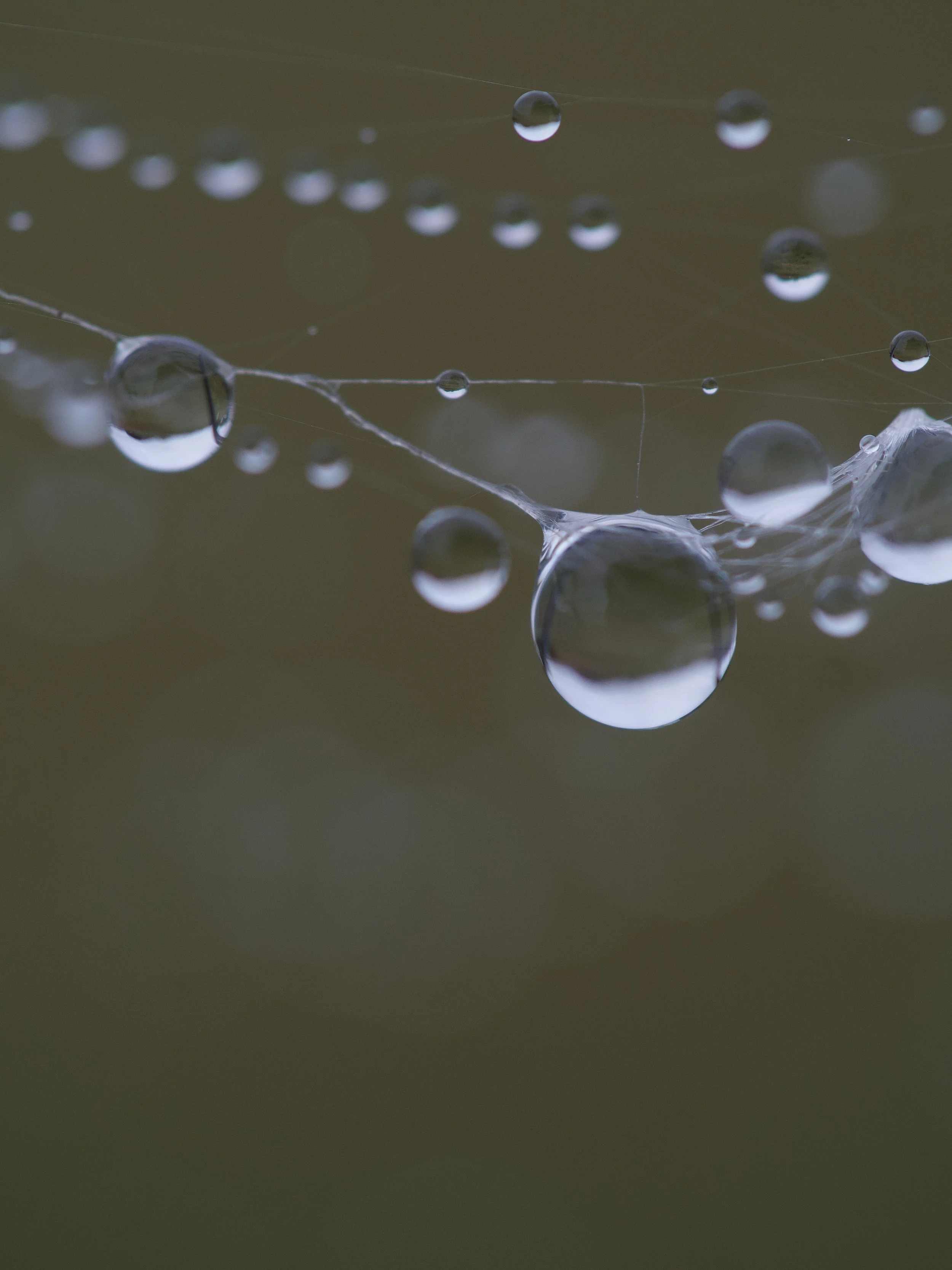 IMG_8445%20Edited 6 Edited.jpg