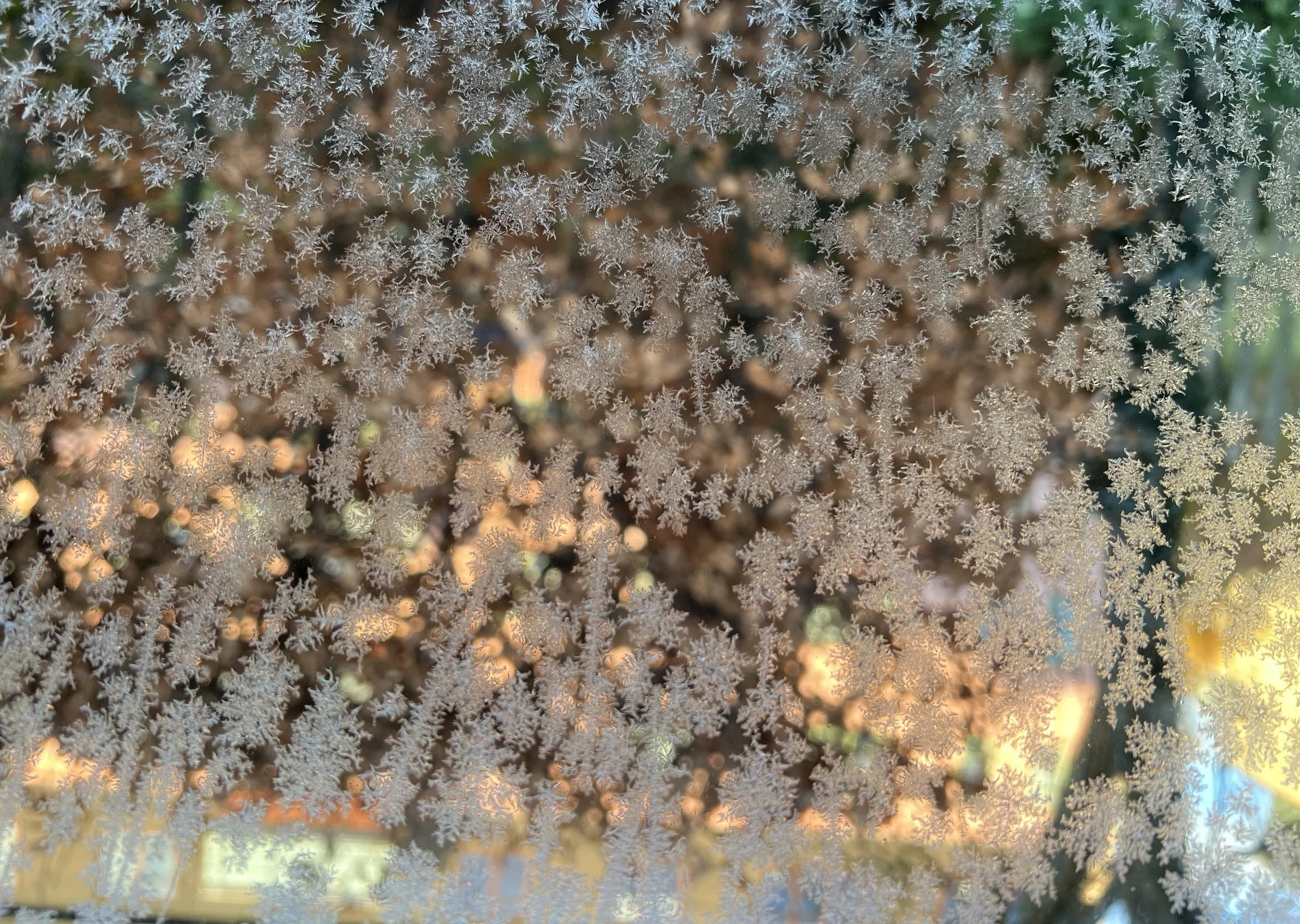 Dec2023 Frostvindue i bilen_roteret.jpeg