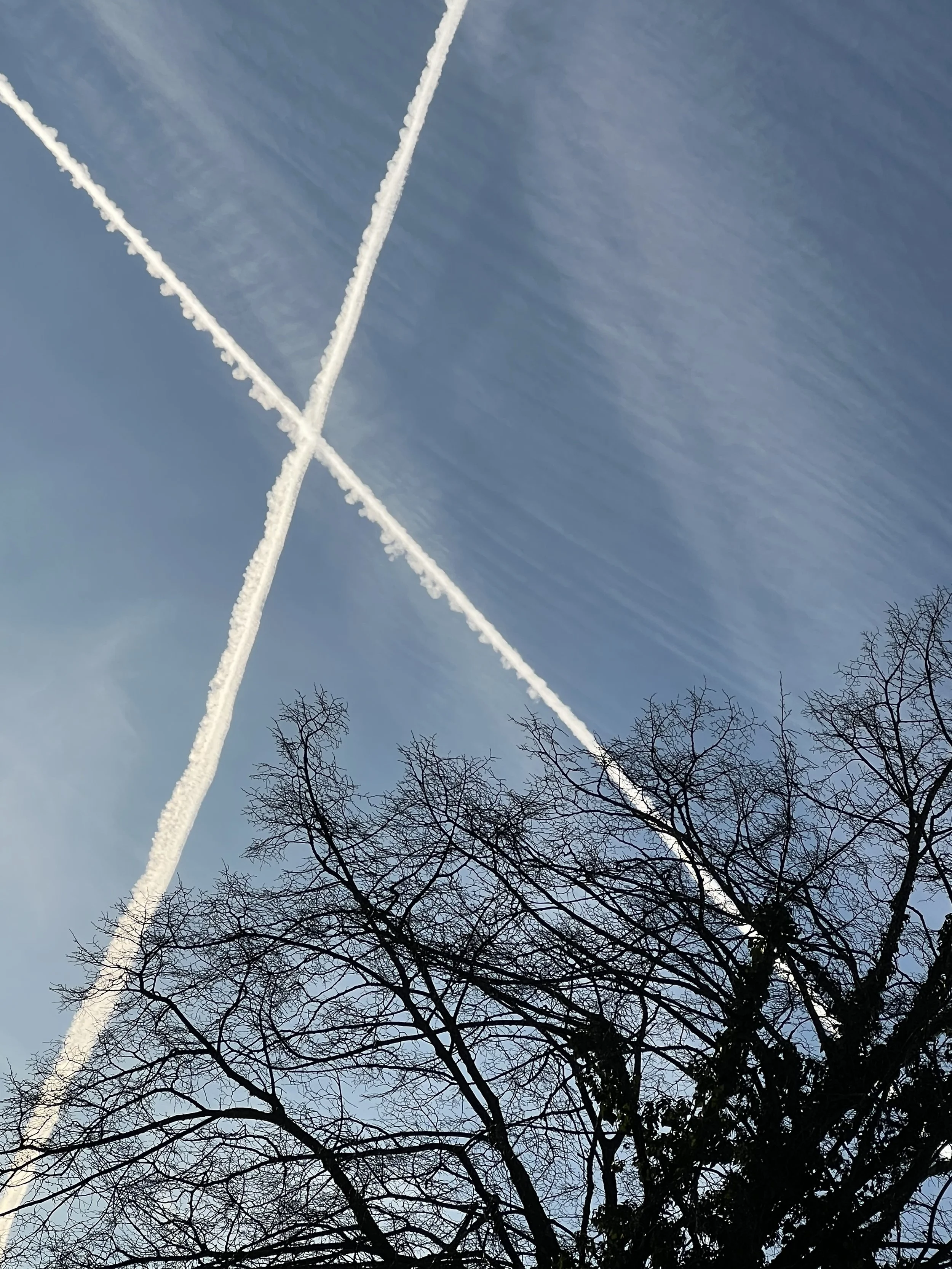 20Jan2025 FlightCross IMG_8211.jpg